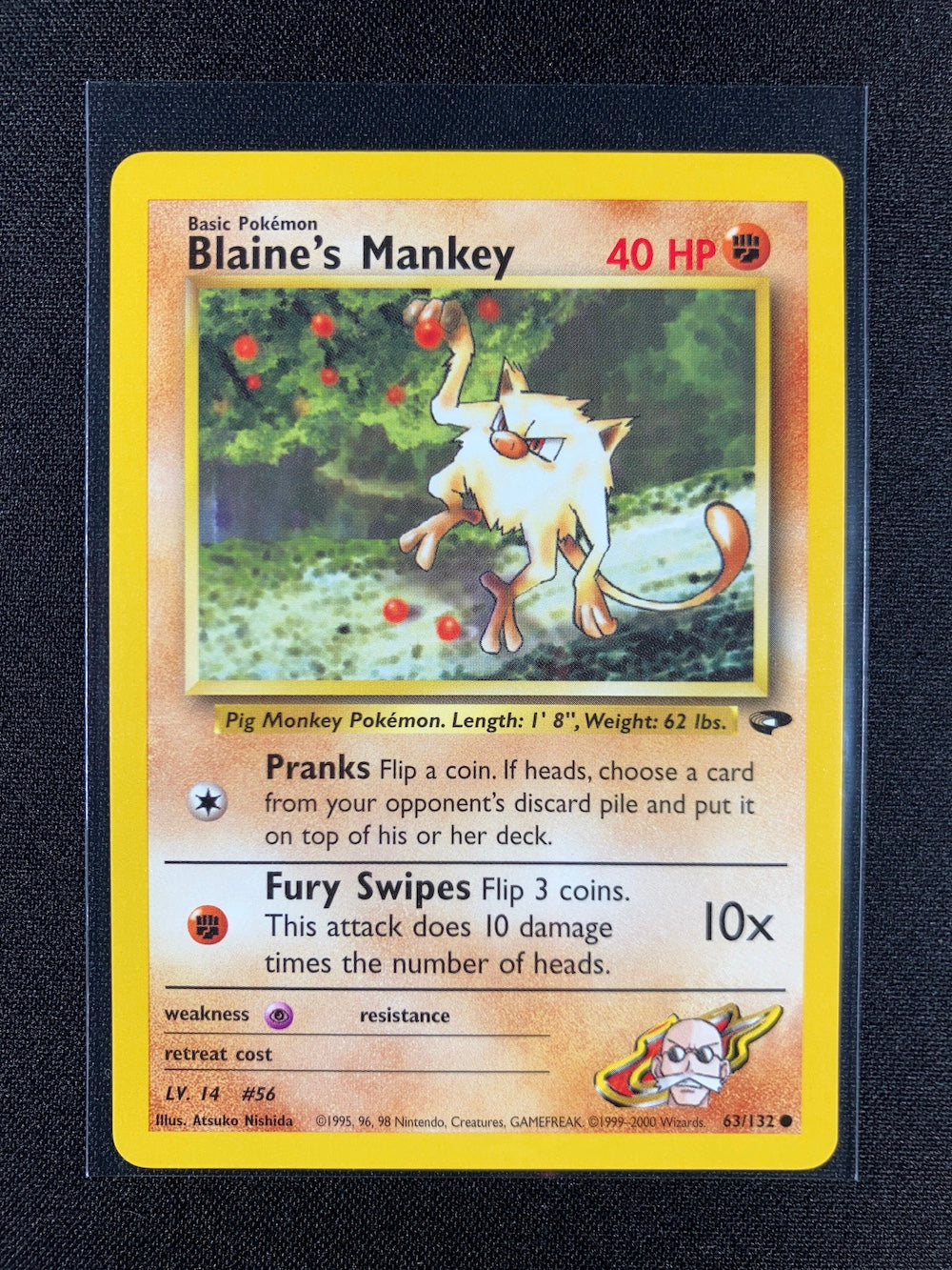 Blaine's Mankey - Gym Challenge - #63