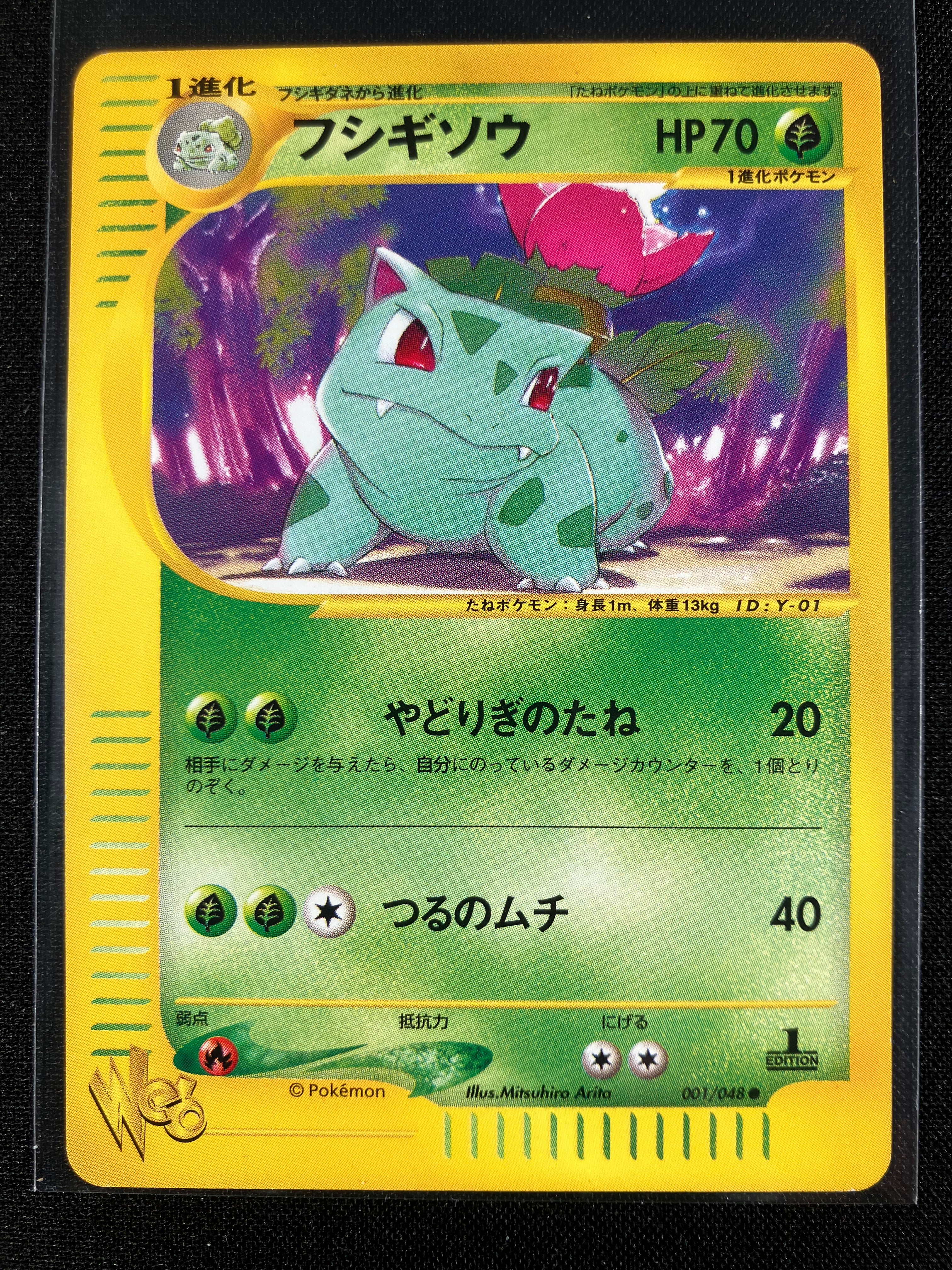 Ivysaur - Web - #001