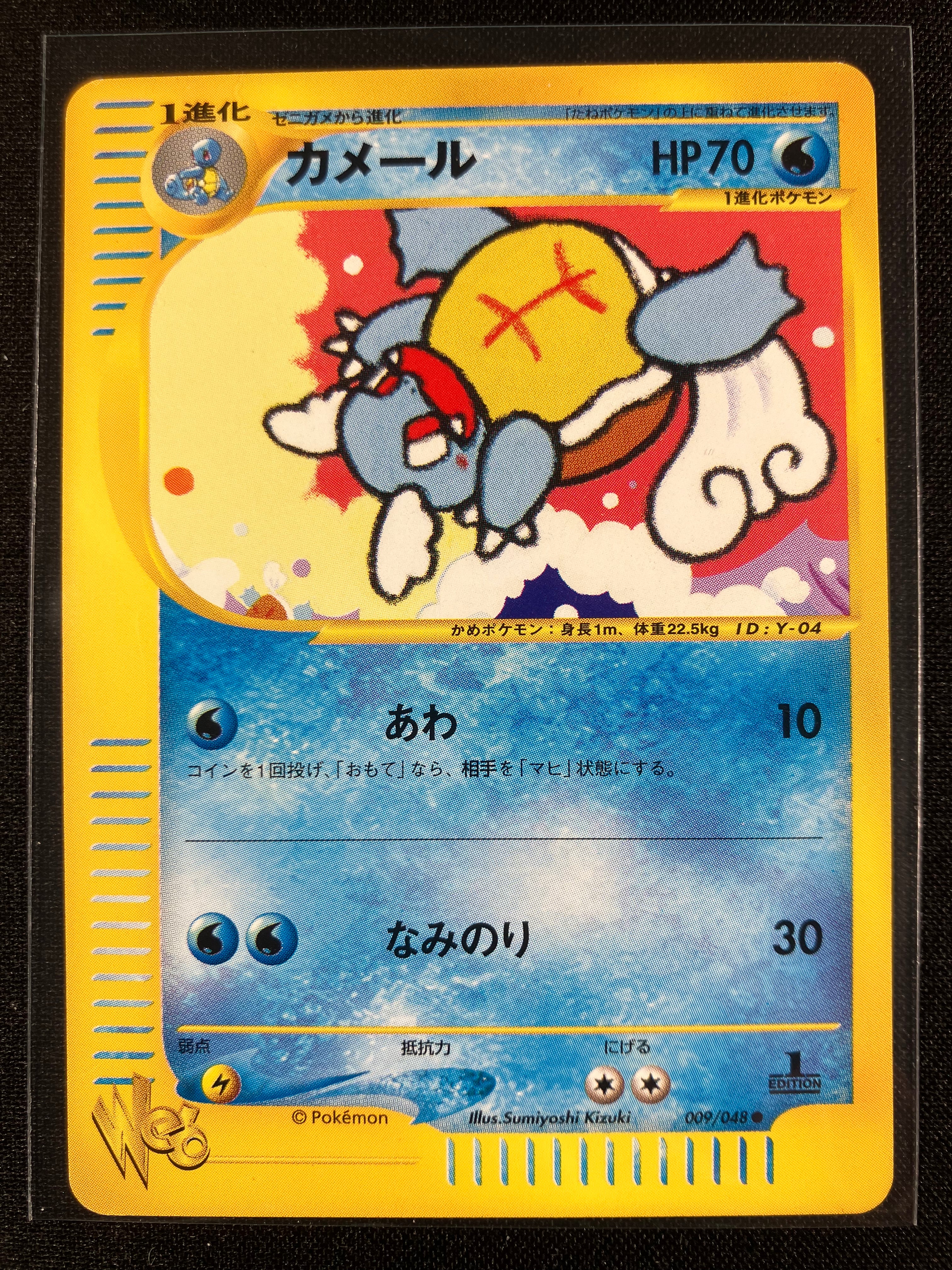 Wartortle - Web - #009