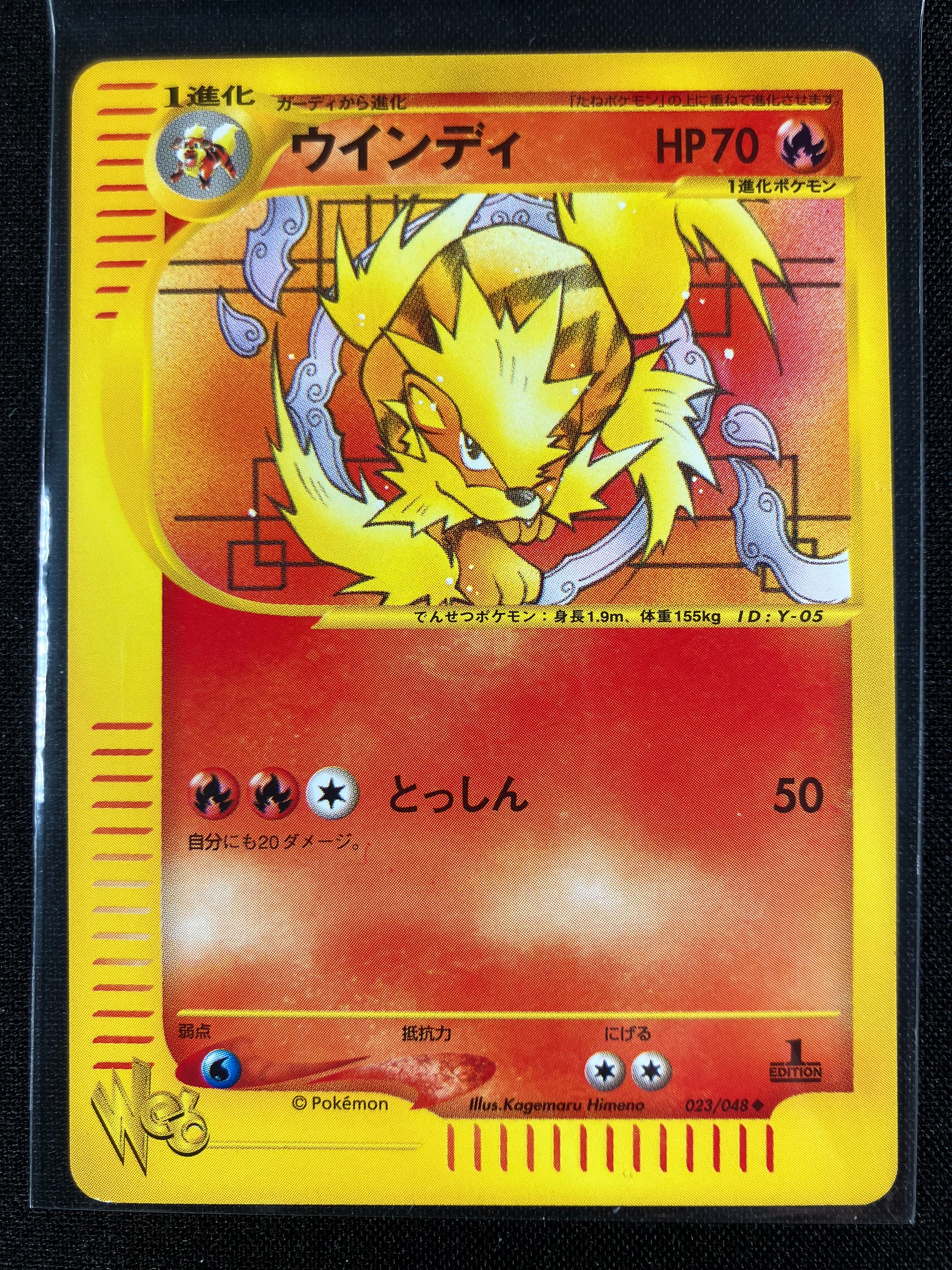 Arcanine - Web - #023