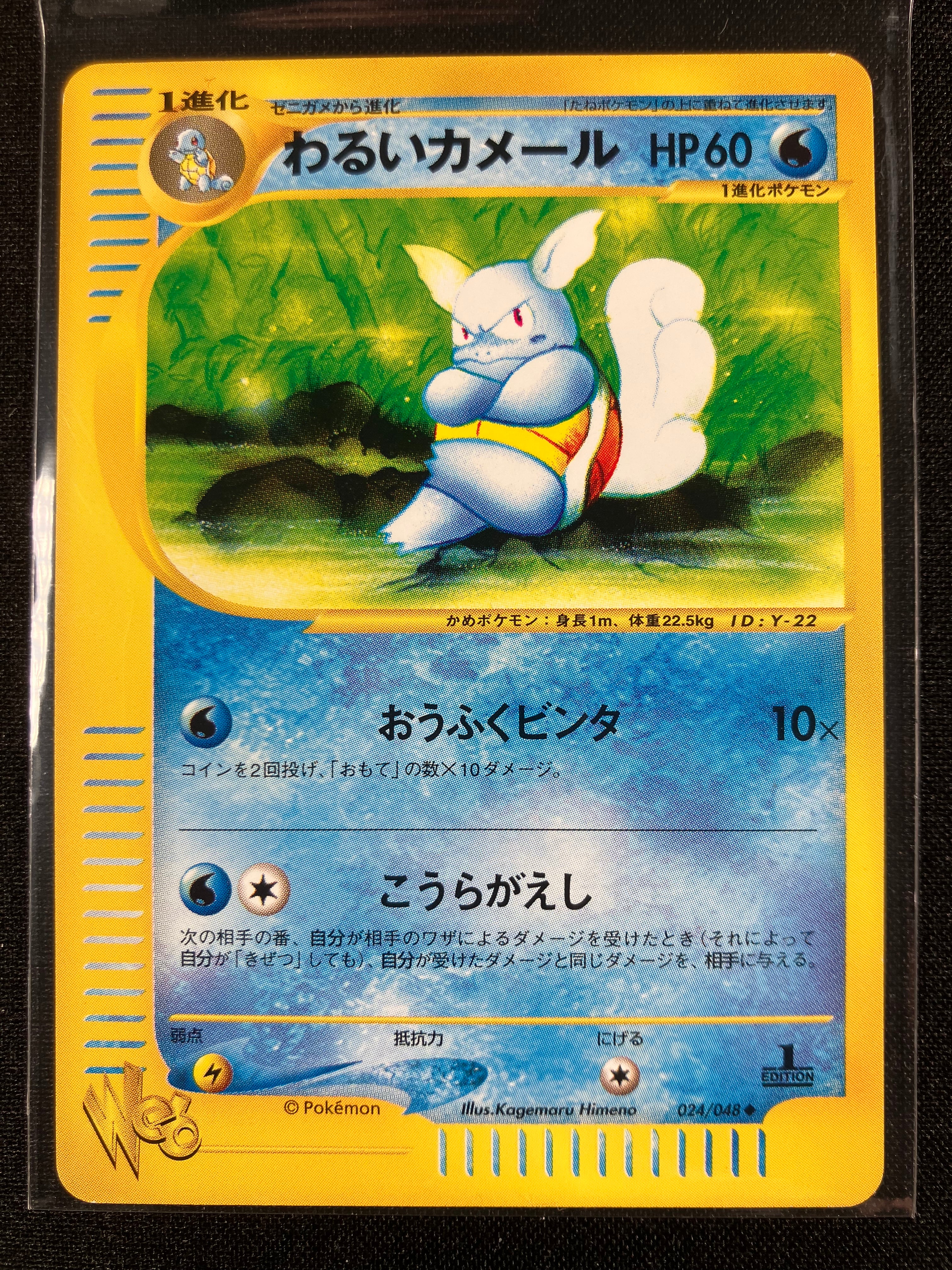 Dark Wartortle - Web - #024