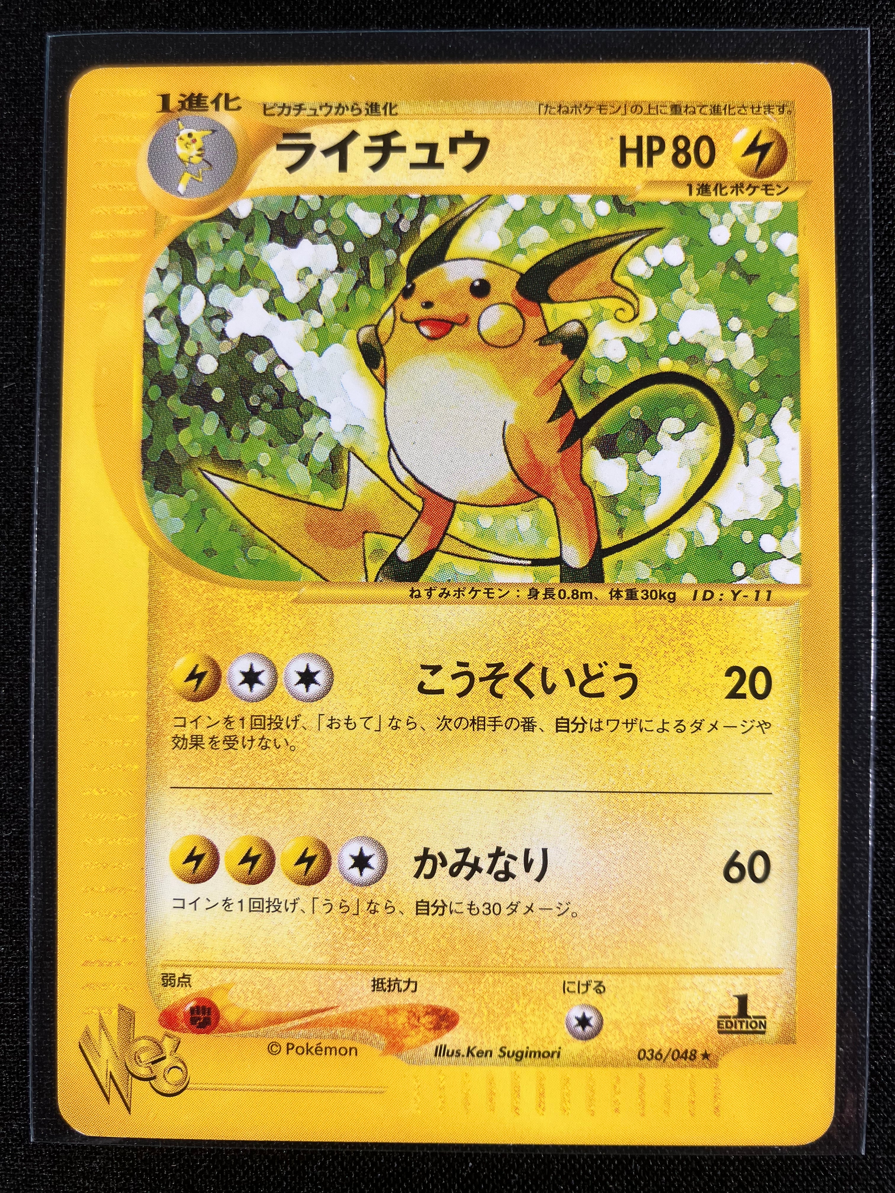 Raichu - Web - #036