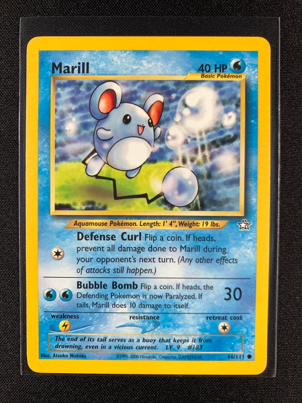Marill - Neo Genesis - #66