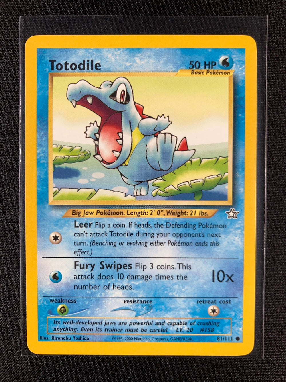 Totodile - Neo Genesis - #81