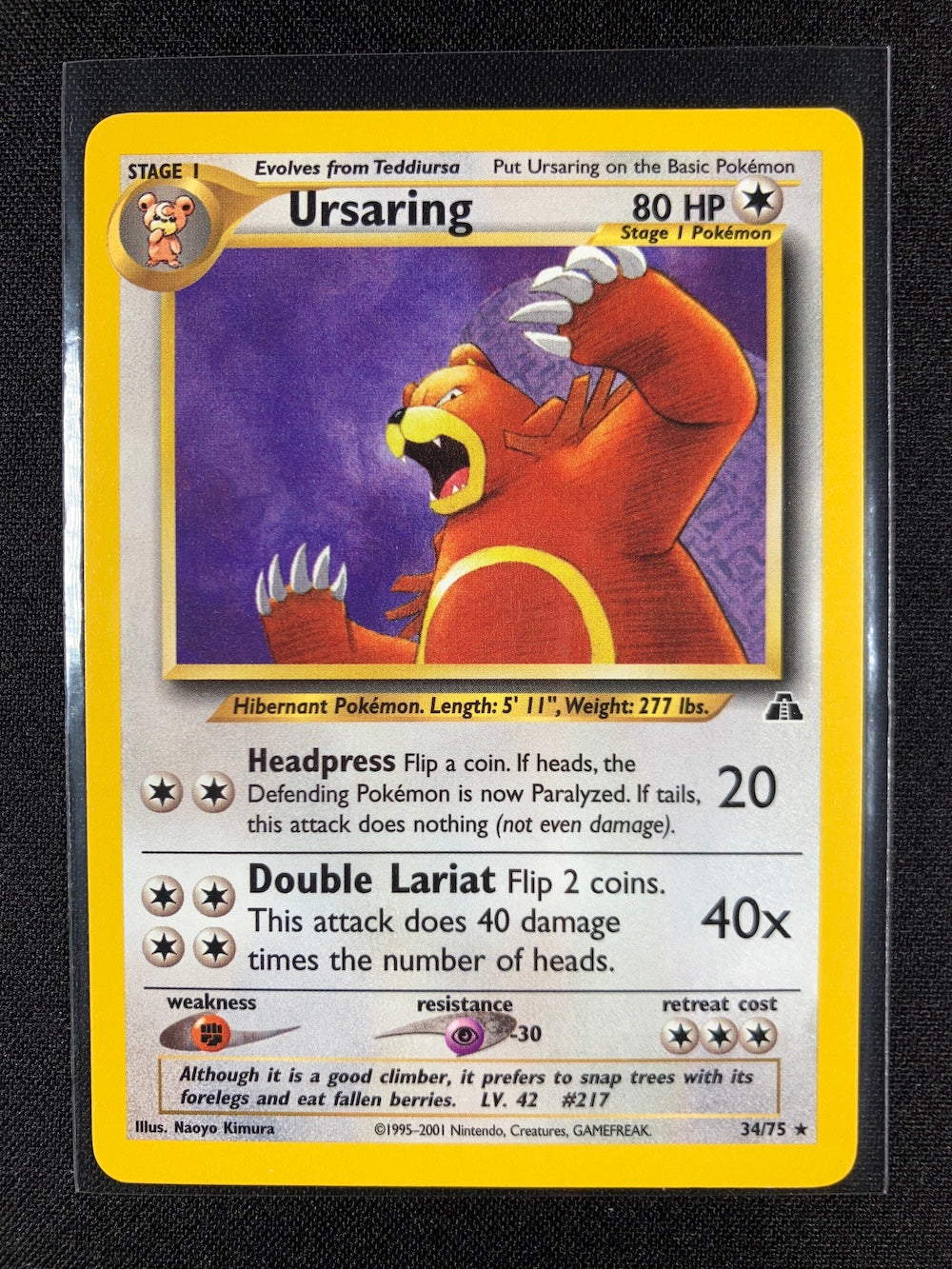 Ursaring - Neo Discovery - #34