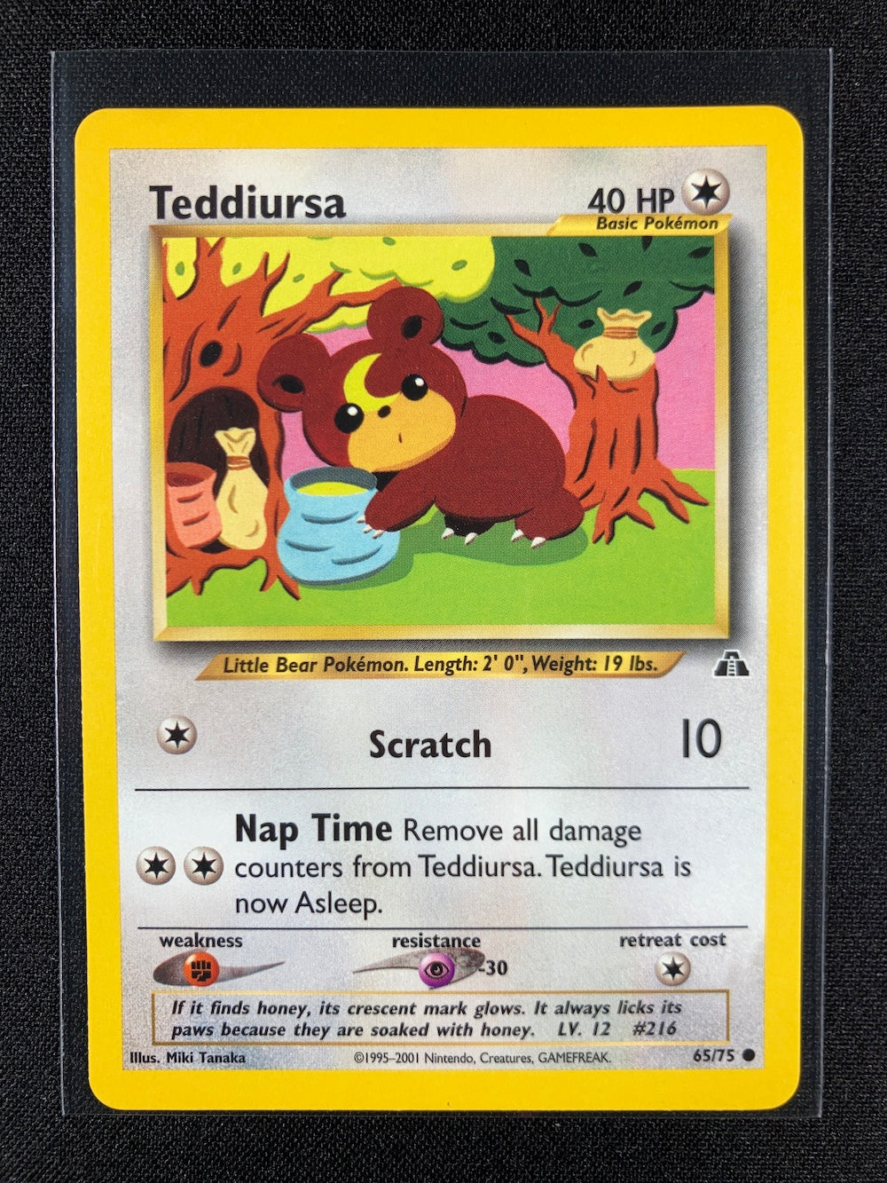 Teddiursa - Neo Discovery - #65