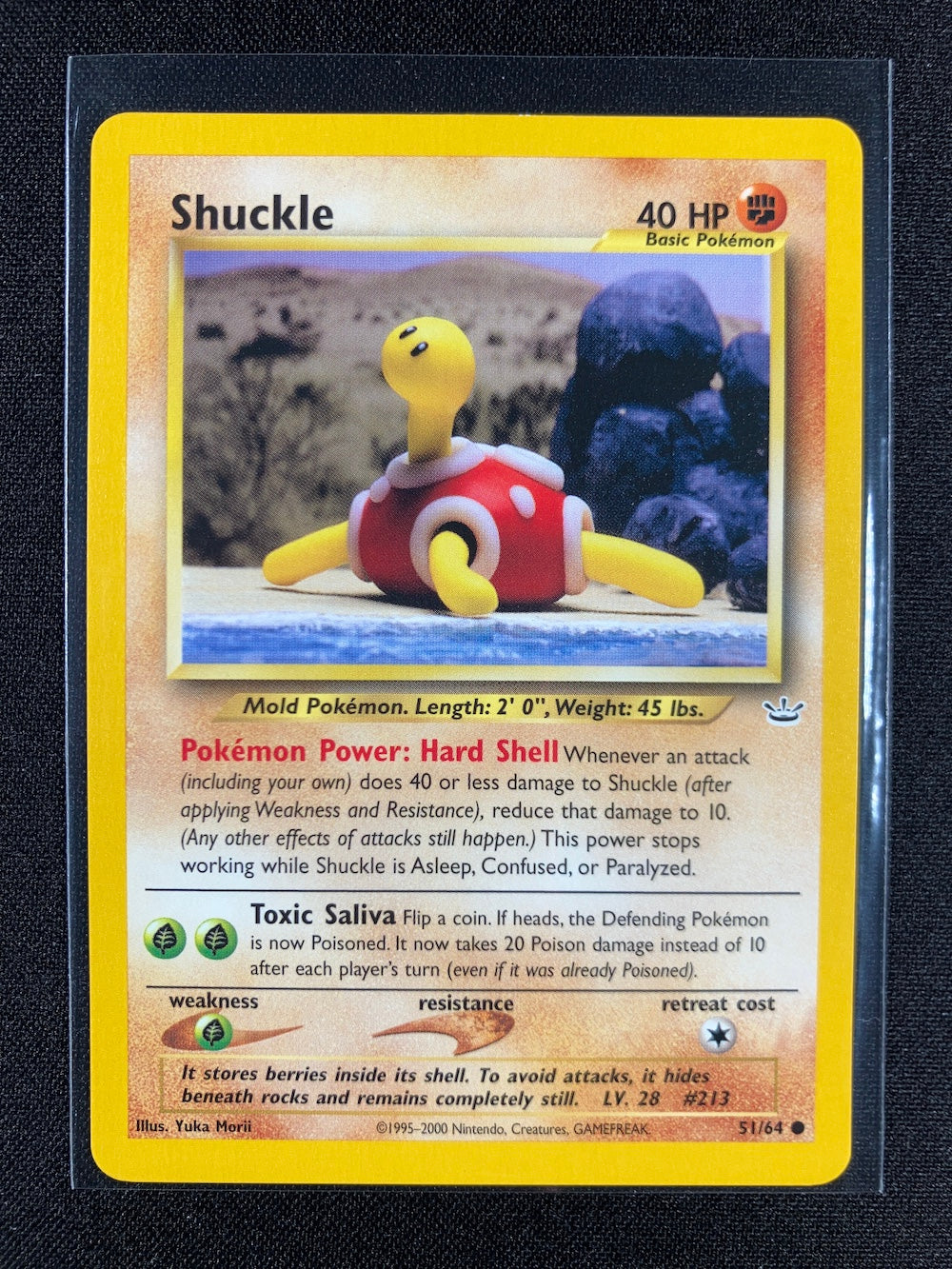 Shuckle - Neo Revelation - #51