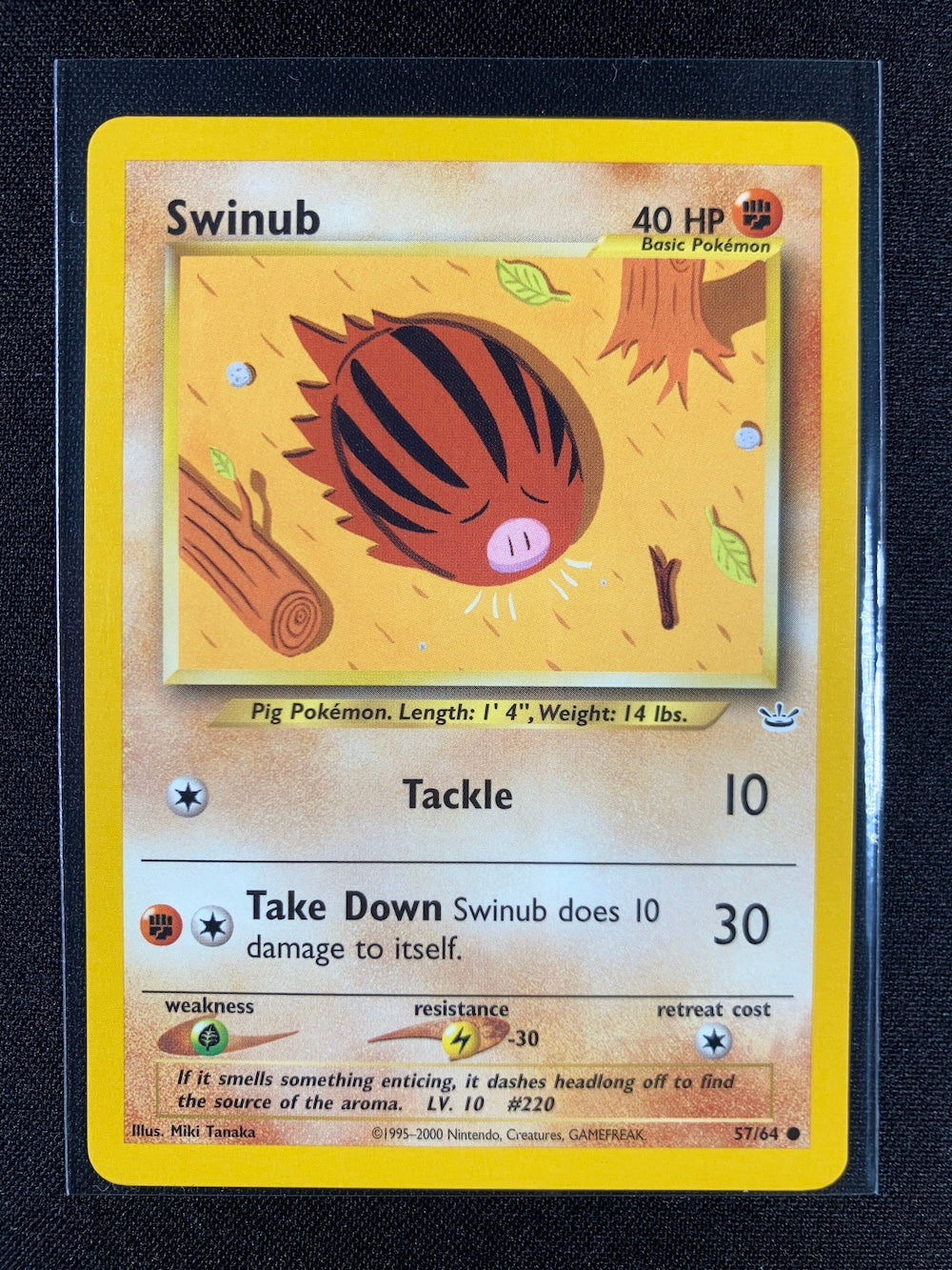 Swinub - Neo Revelation - #57