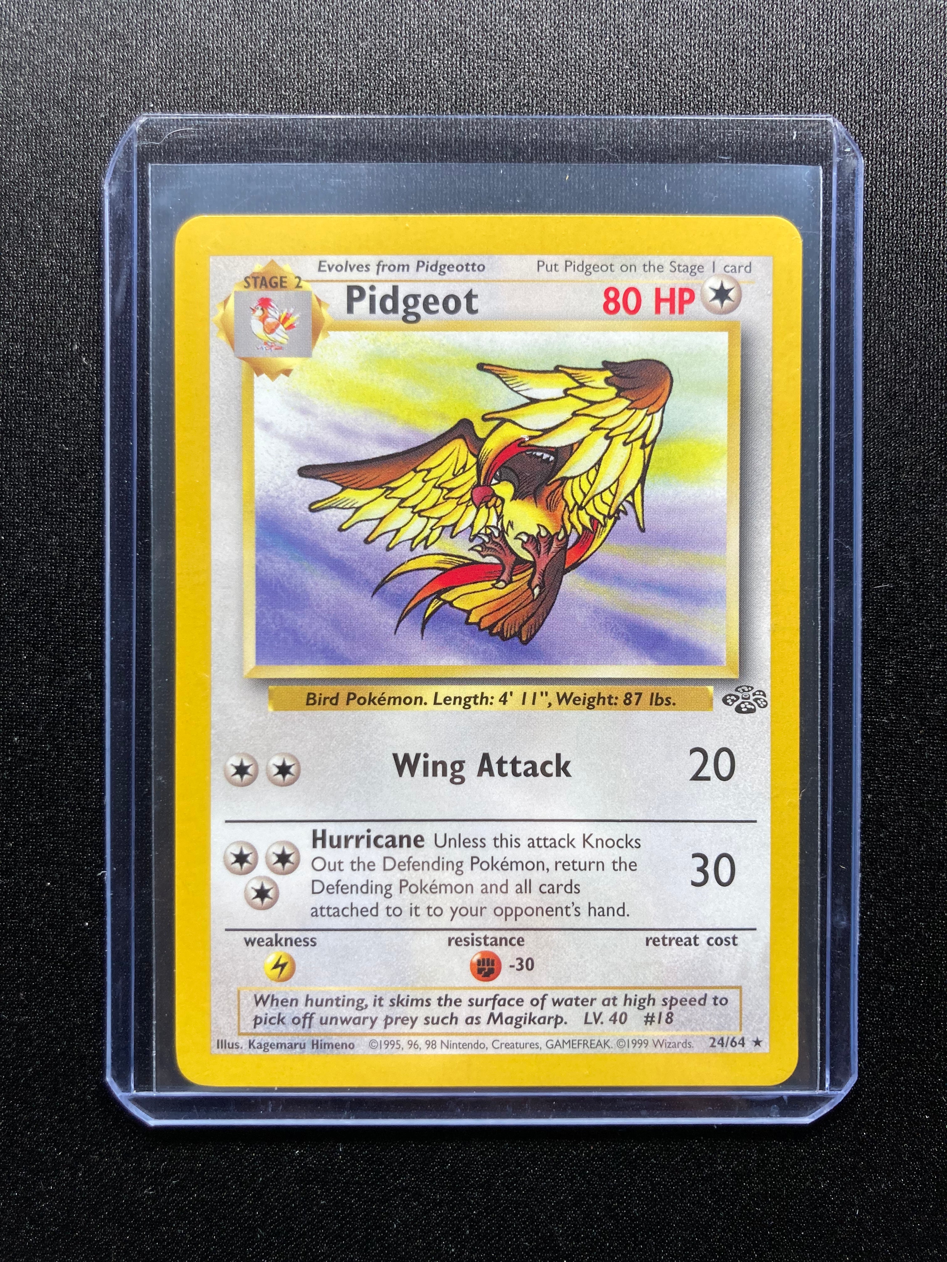 Pidgeot - Jungle - #24