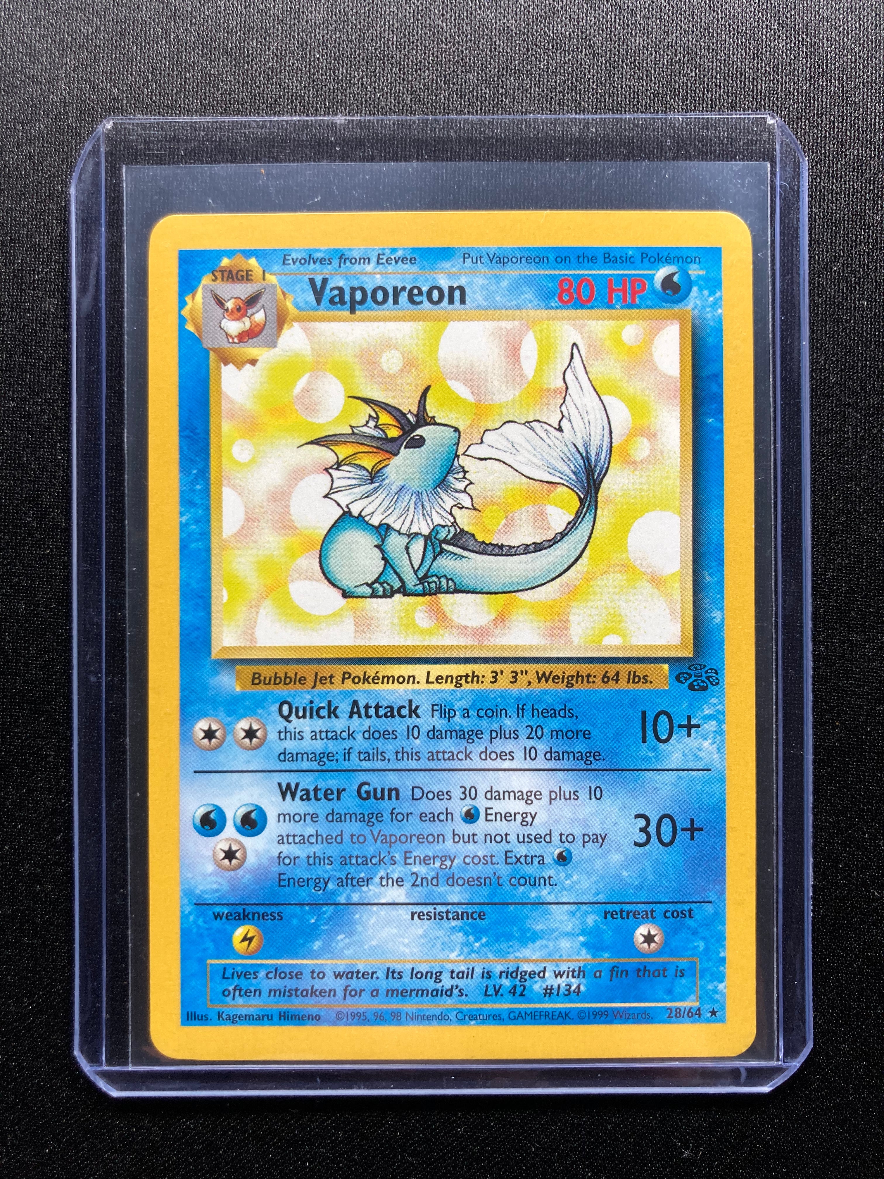 Vaporeon - Jungle - #28