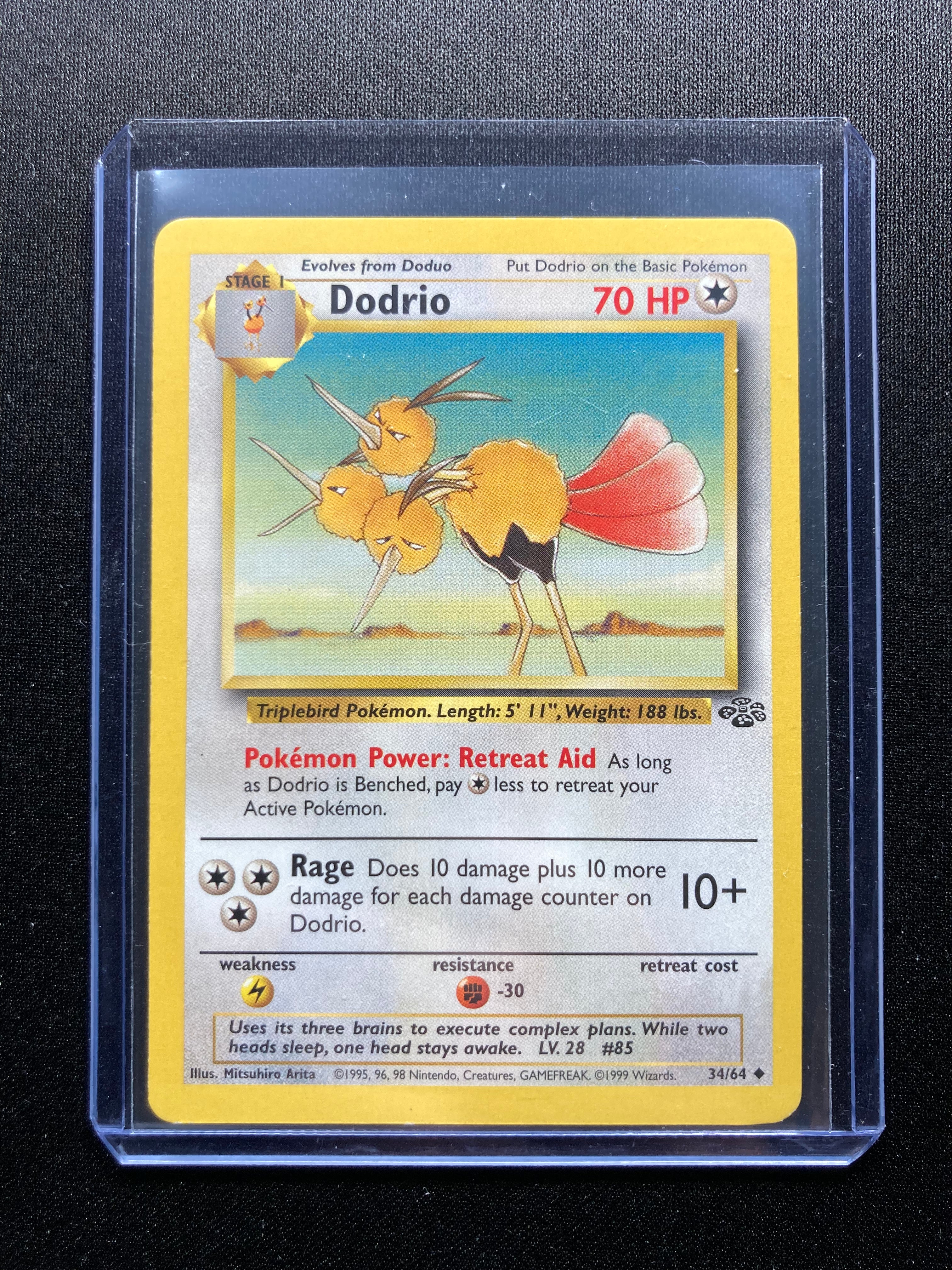 Dodrio - Jungle - #34