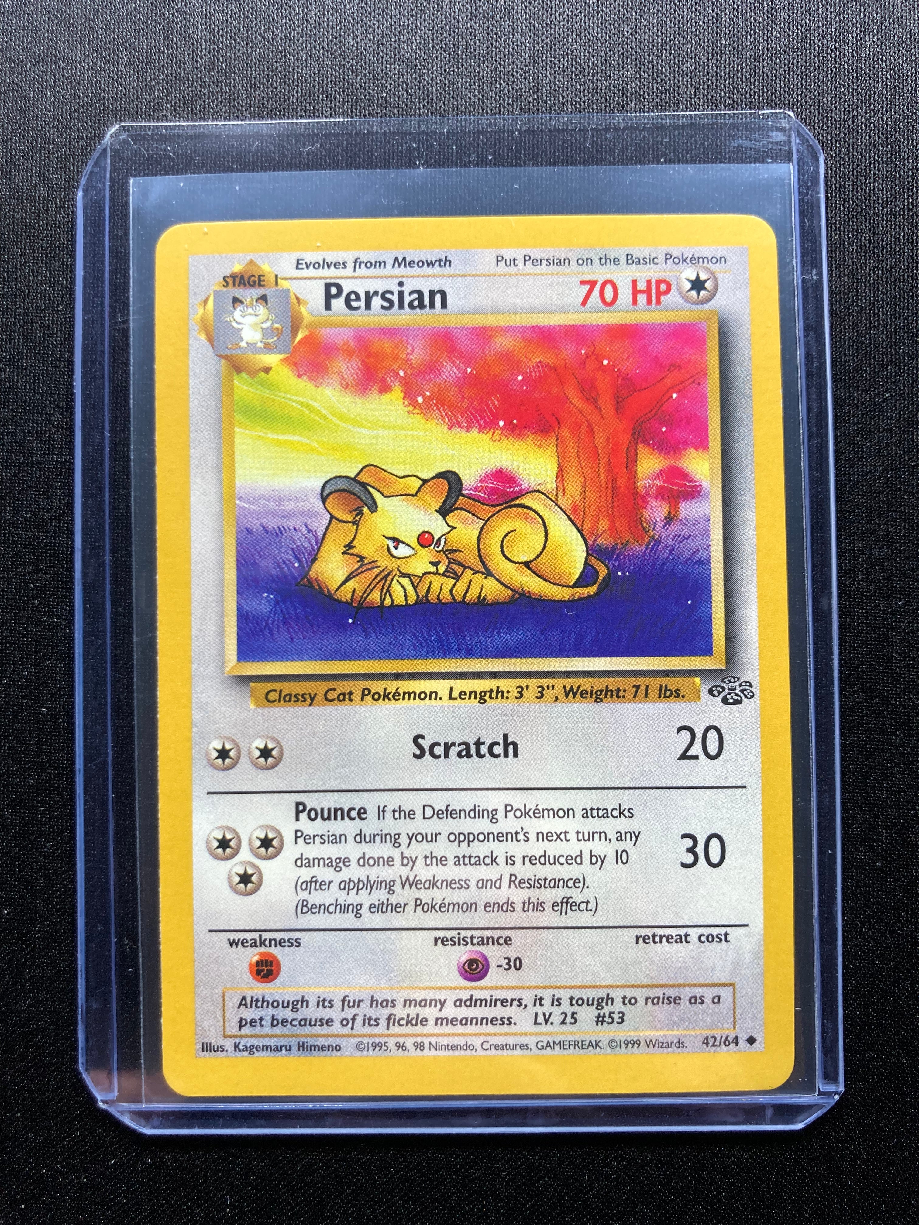 Persian - Jungle - #42