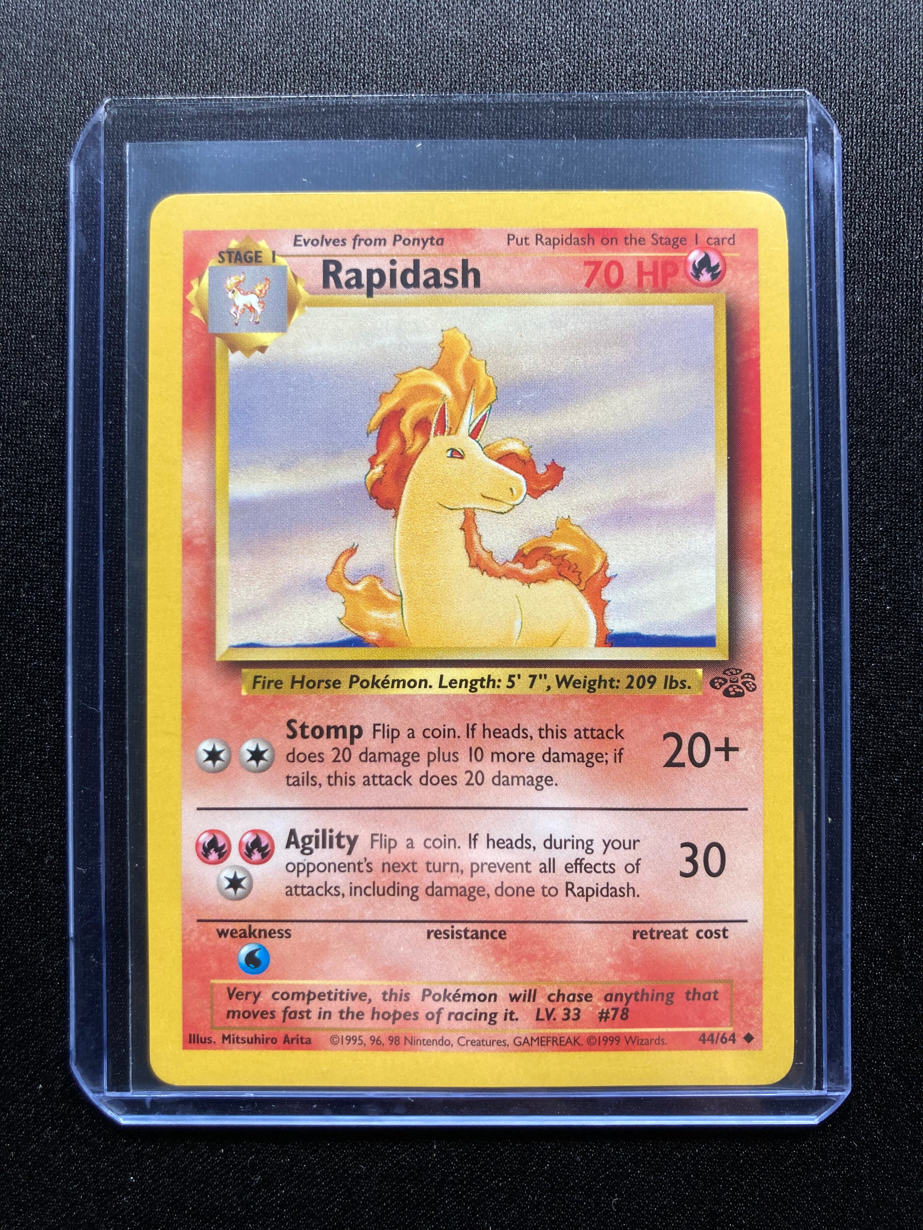 Rapidash - Jungle - #44