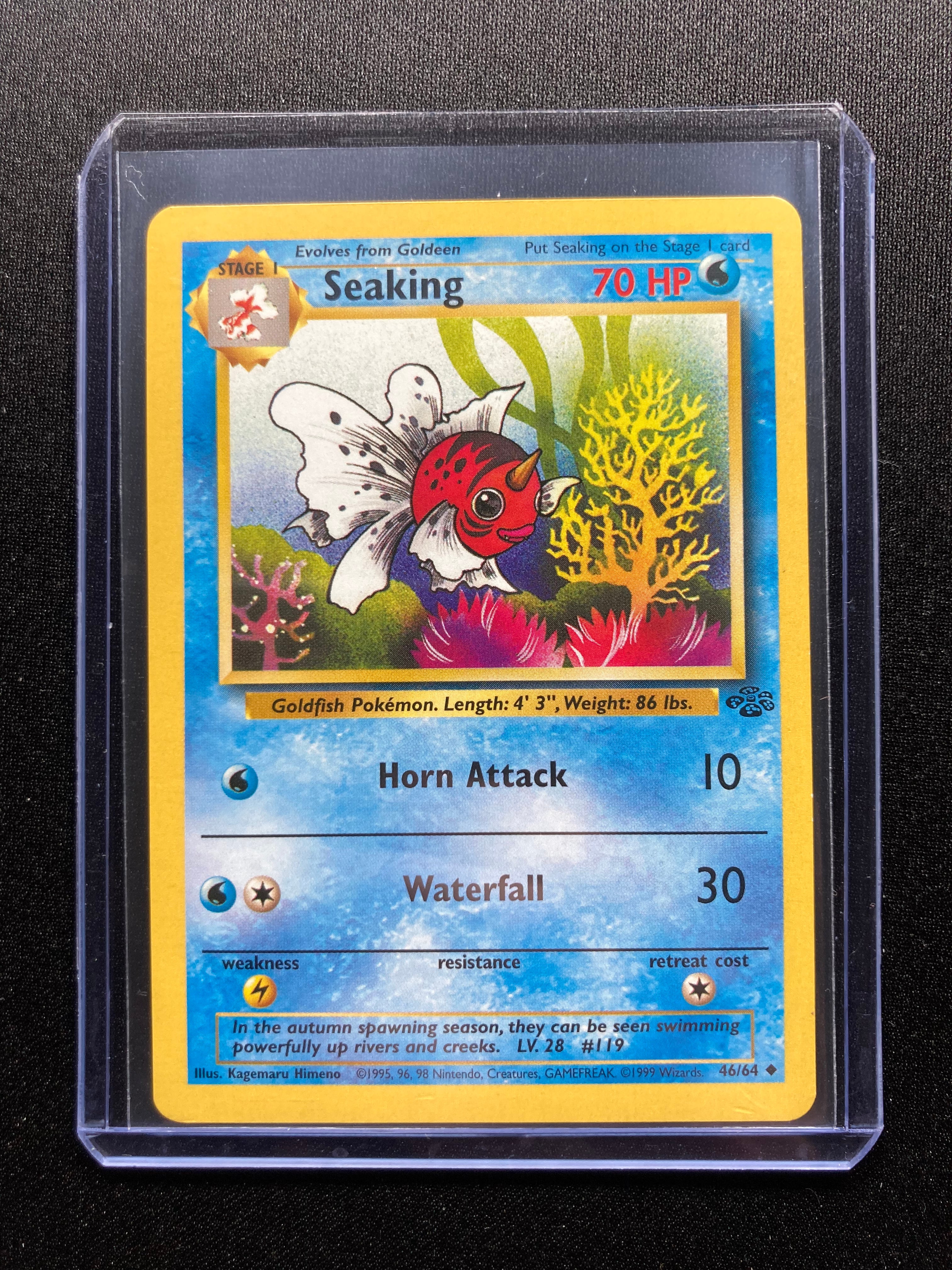 Seaking - Jungle - #46