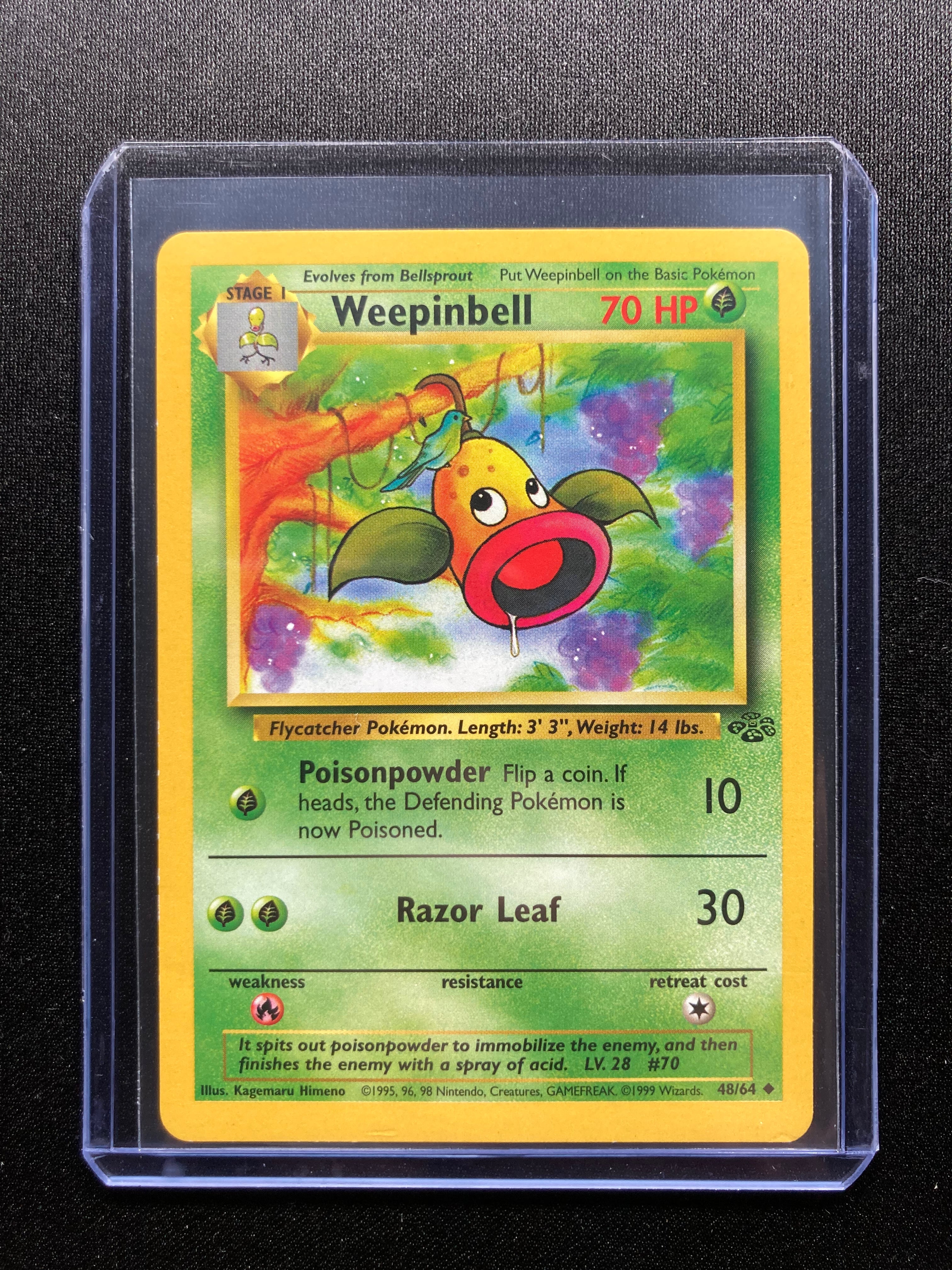 Weepinbell - Jungle - #48