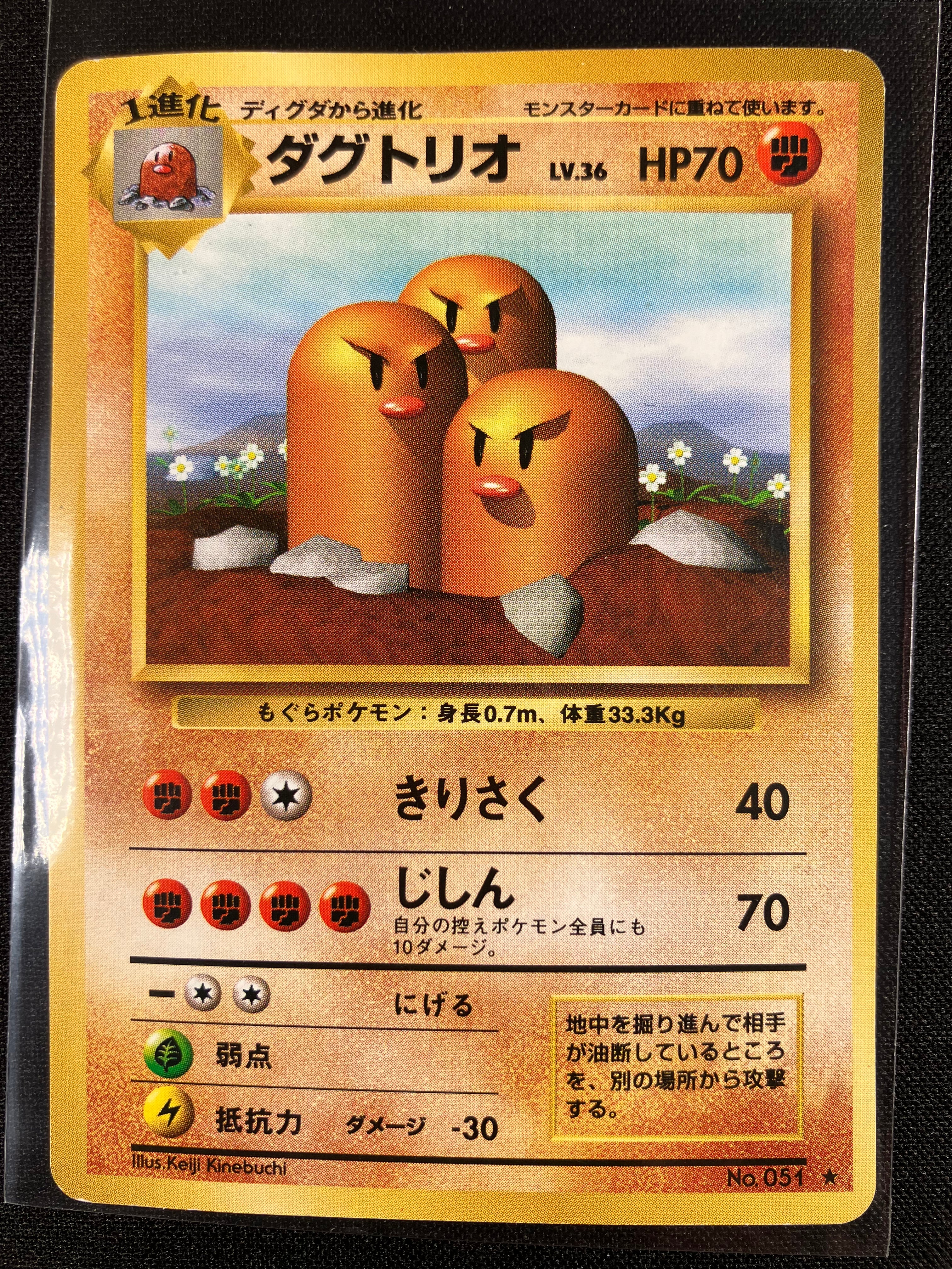 Dugtrio - Expansion Pack