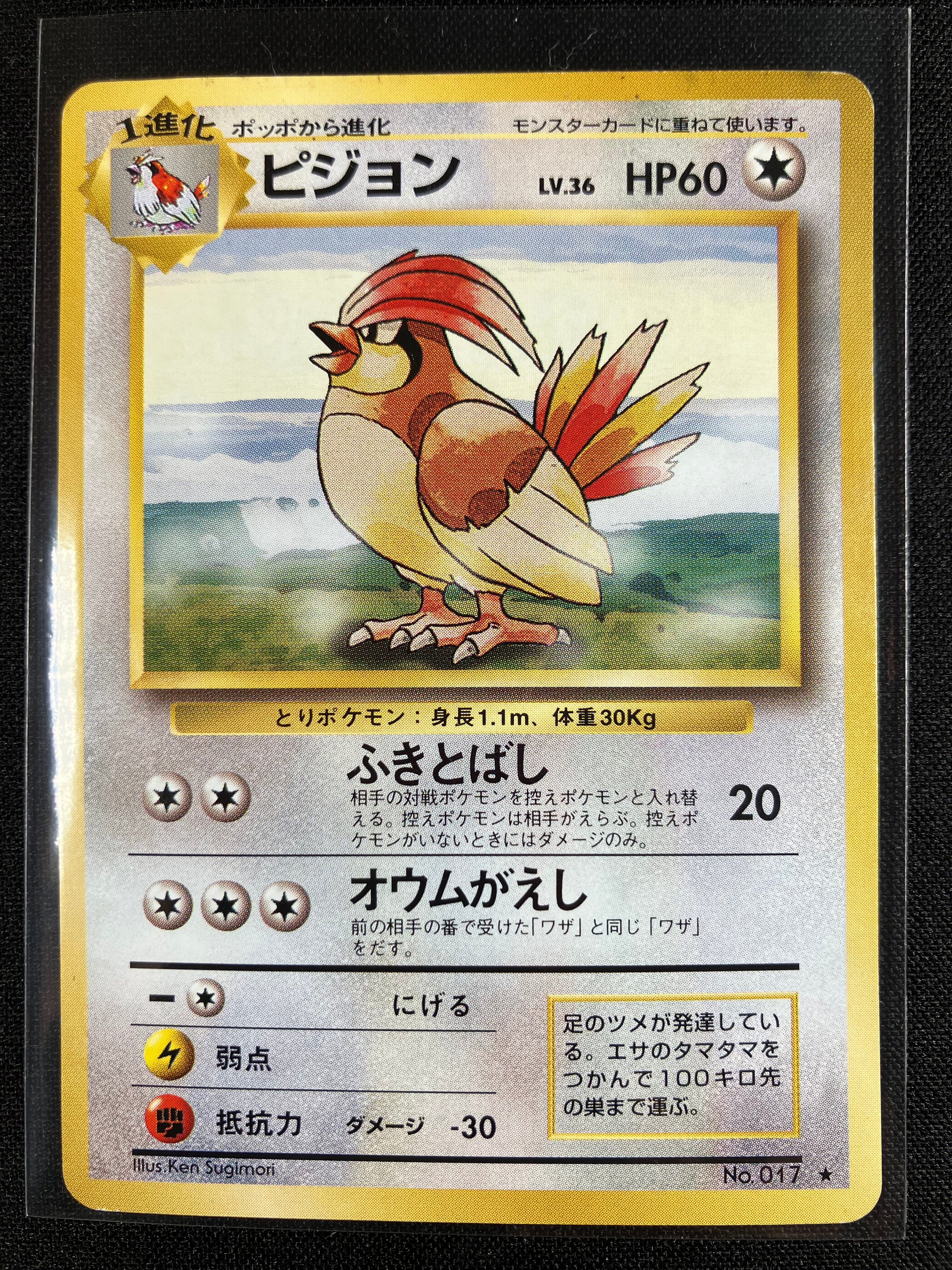 Pidgeotto - Expansion Pack