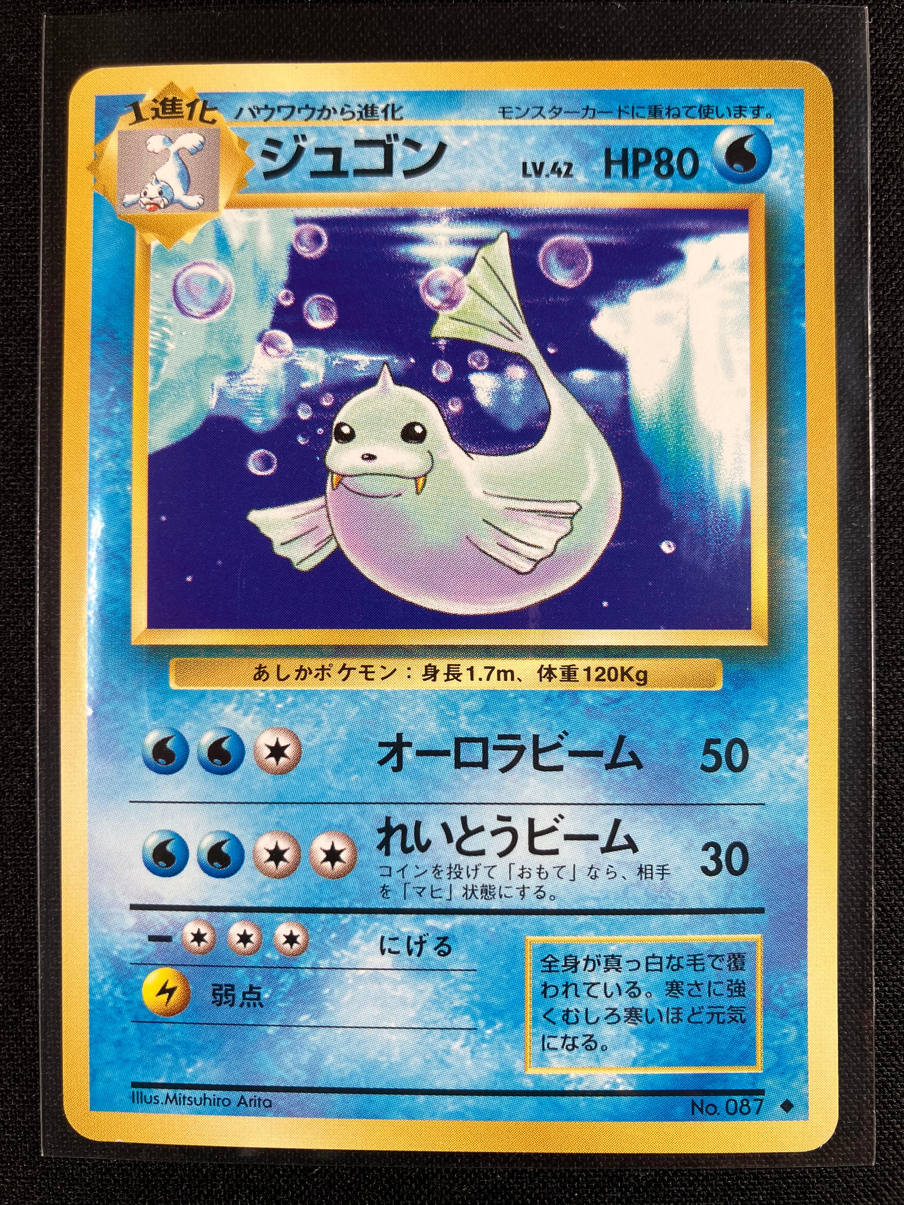 Dewgong - Expansion Pack