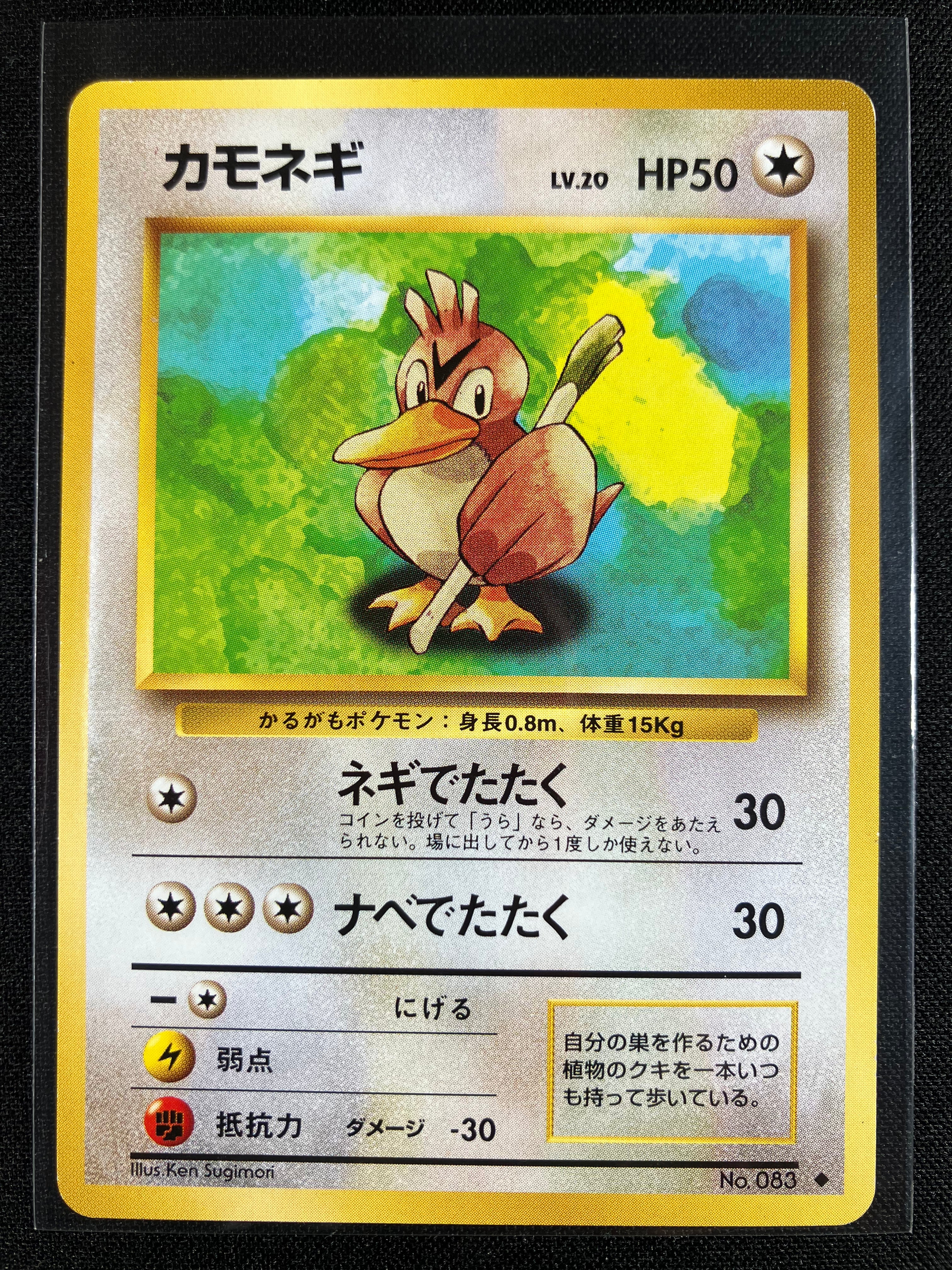 Farfetch'd - Expansion Pack