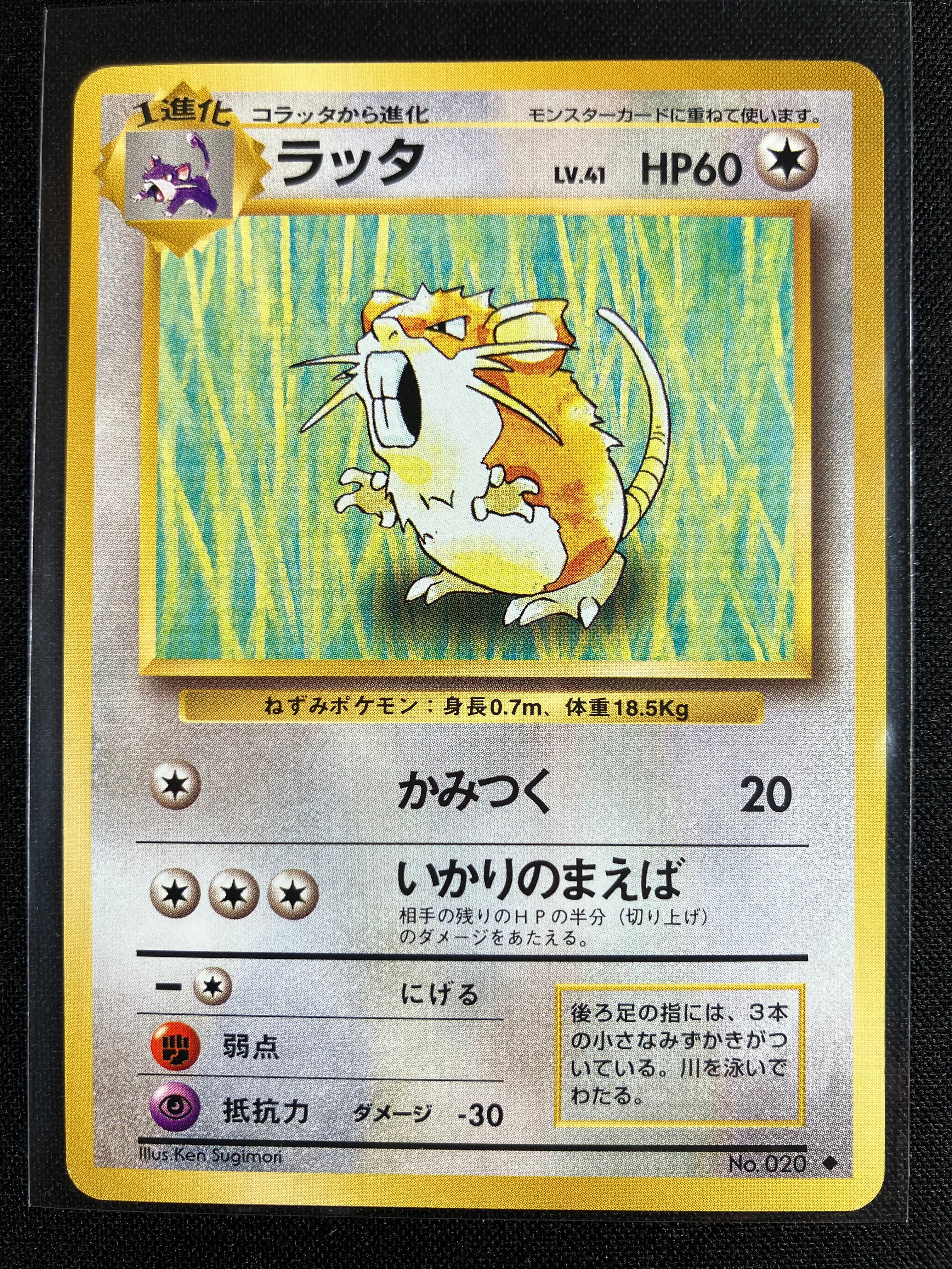 Raticate - Expansion Pack