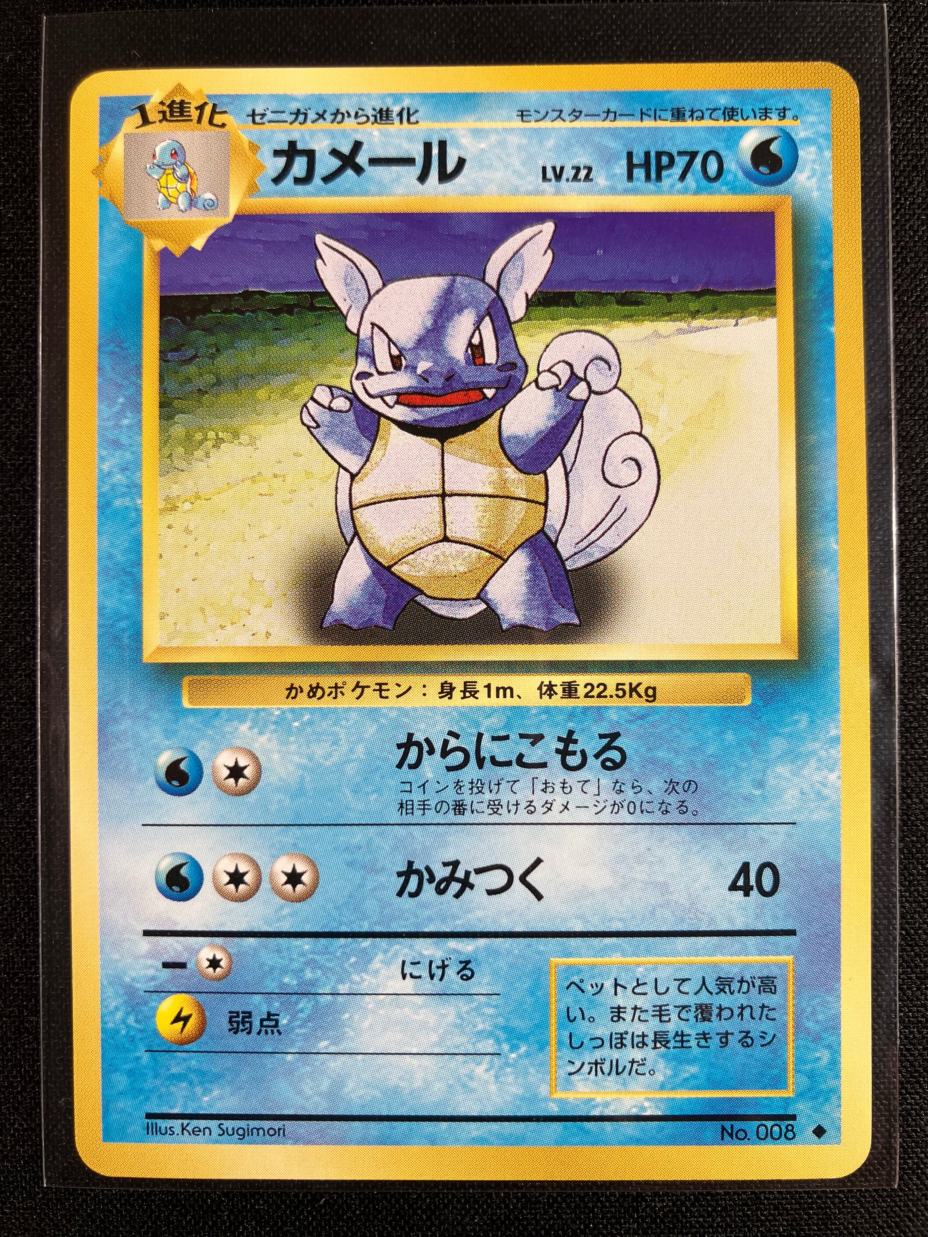 Wartortle - Expansion Pack