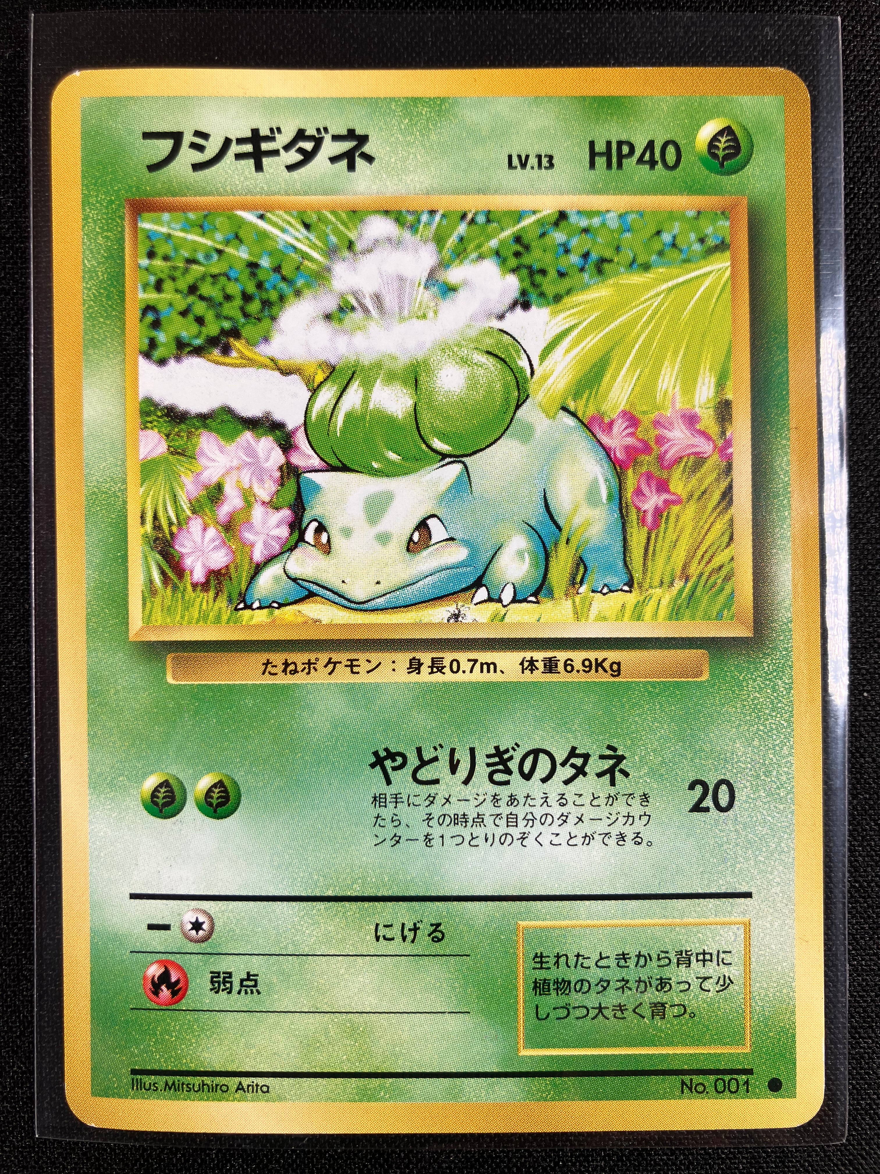 Bulbasaur - Expansion Pack