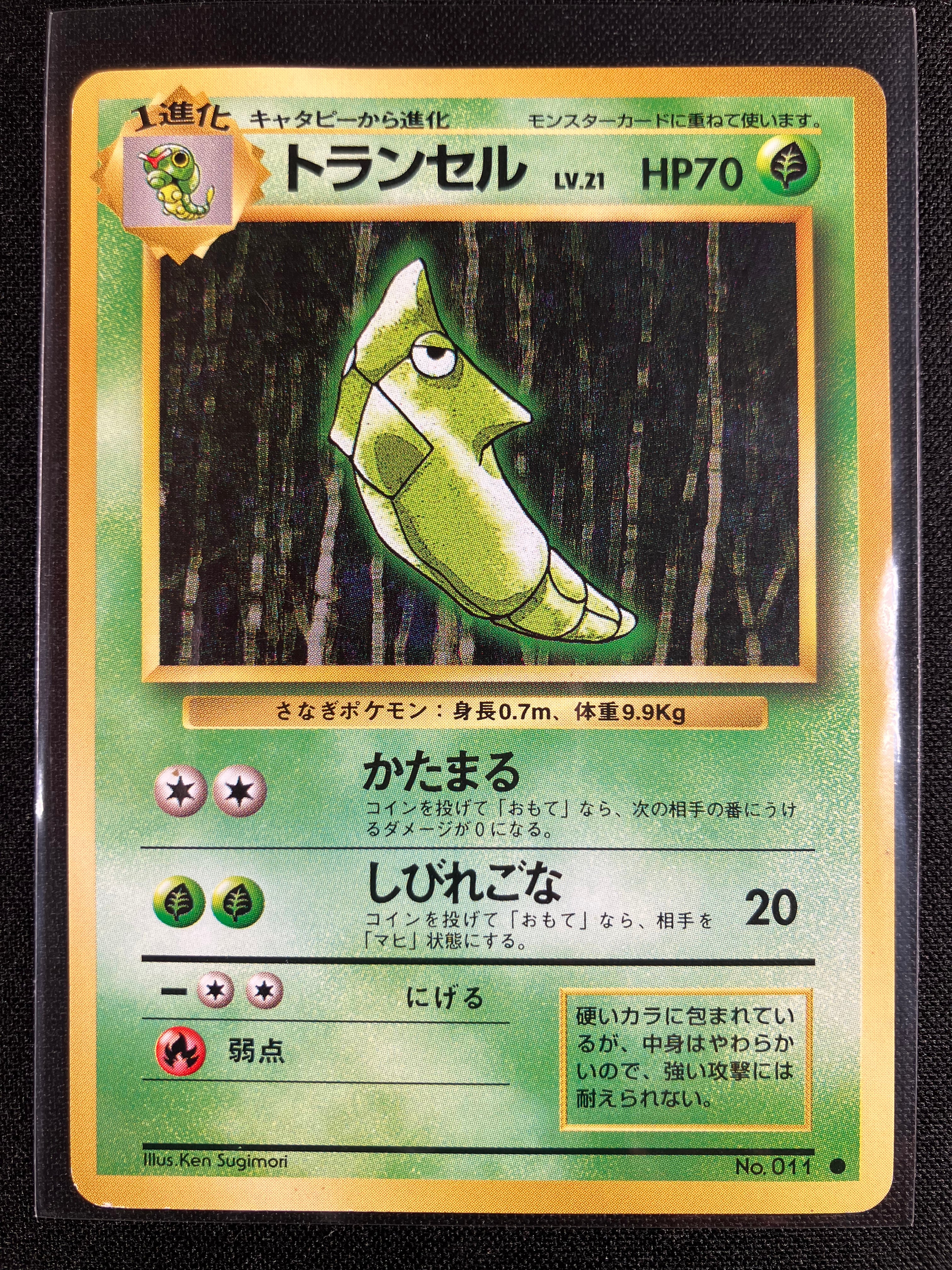 Metapod - Expansion Pack