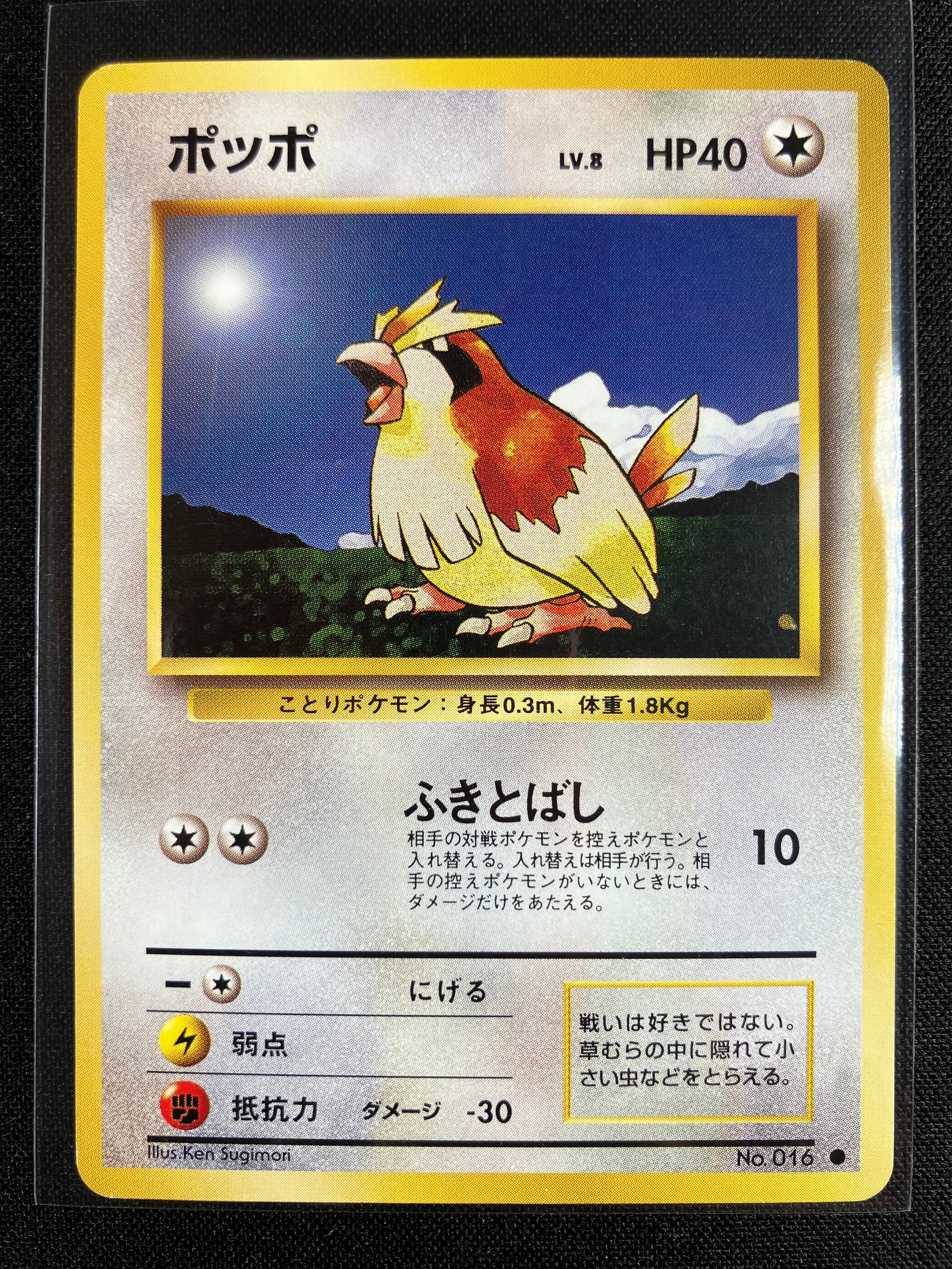 Pidgey - Expansion Pack