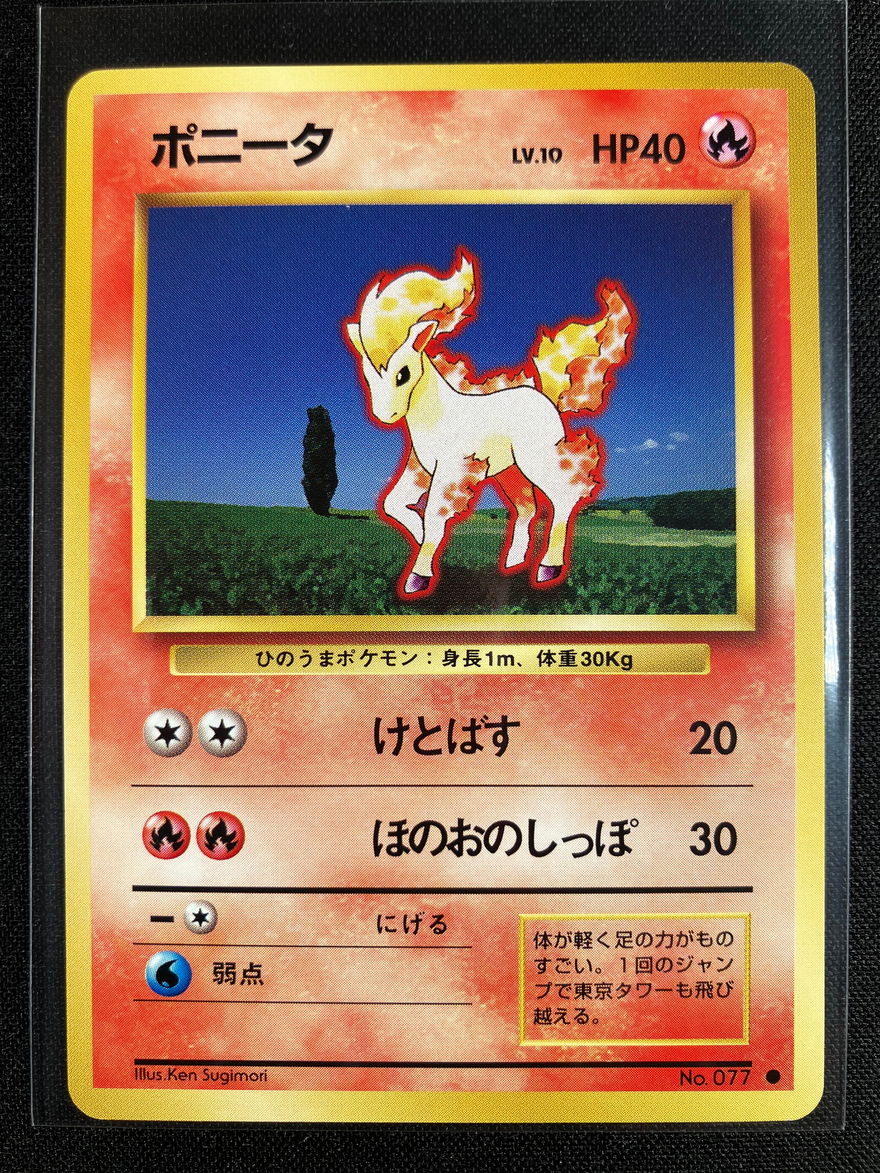 Ponyta - Expansion Pack