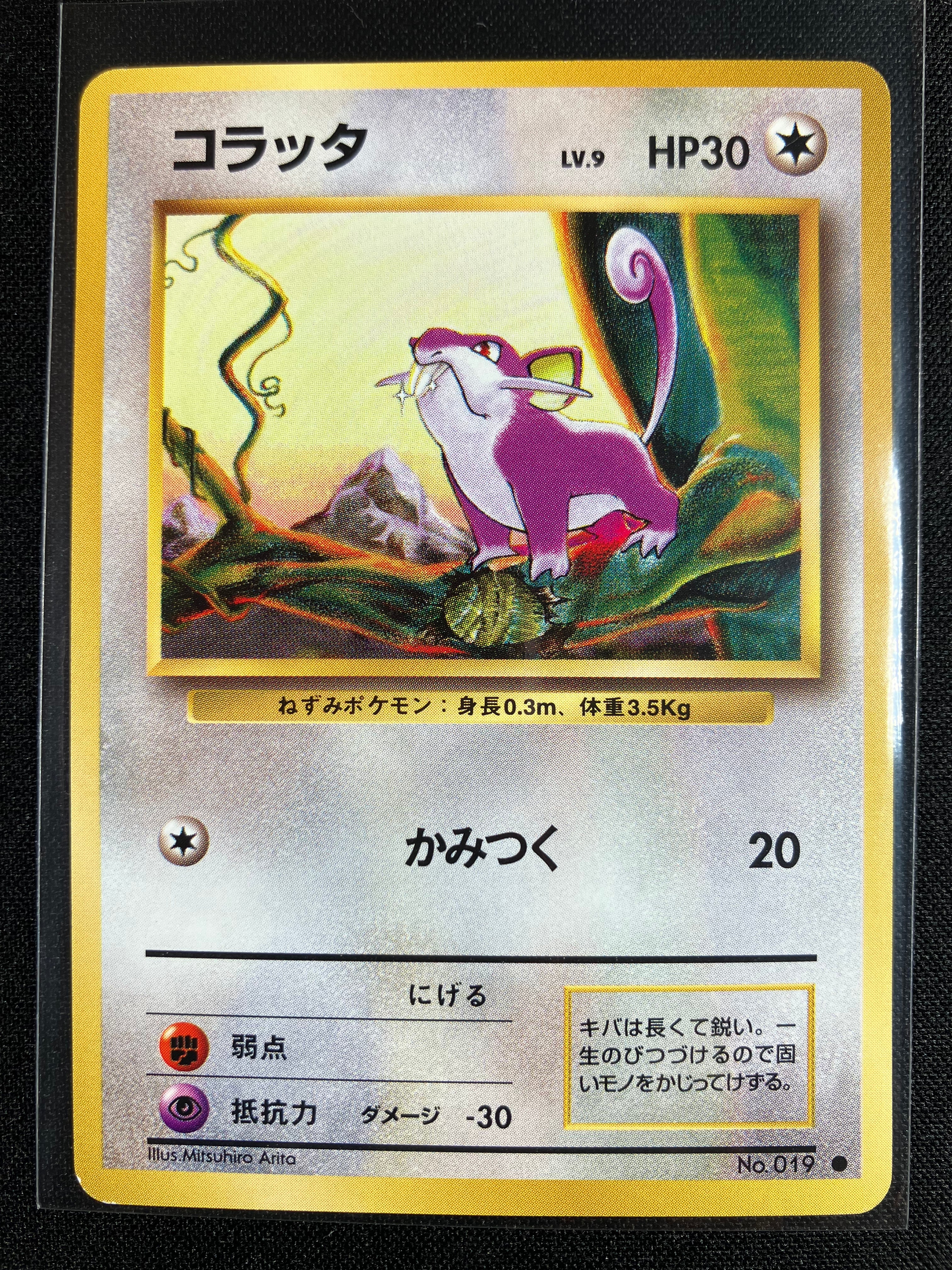 Rattata - Expansion Pack