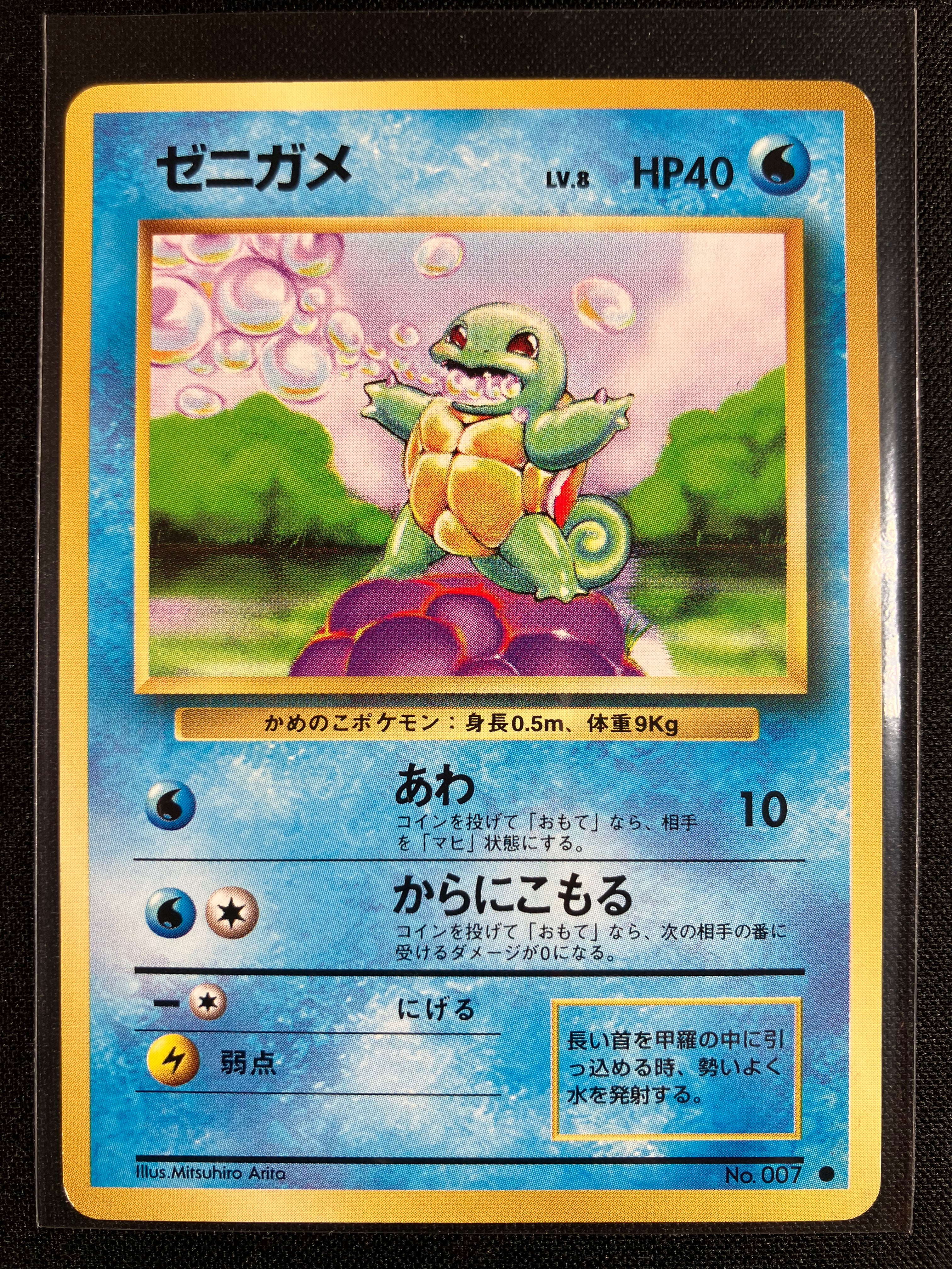 Squirtle - Expansion Pack