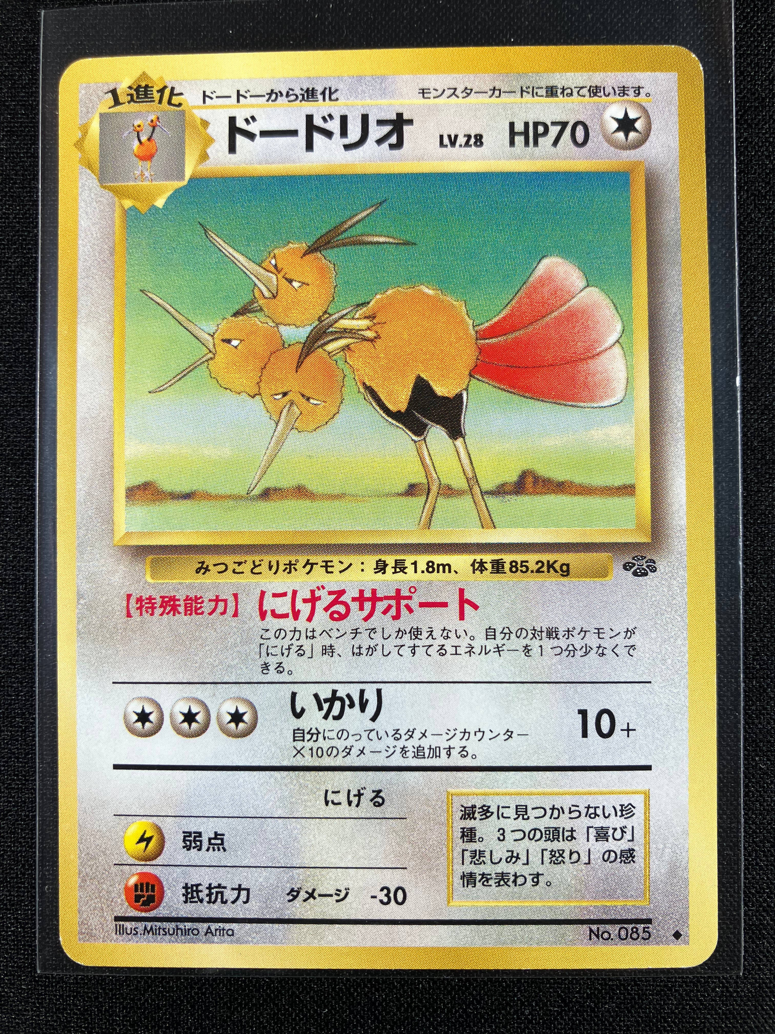 Dodrio - Pokémon Jungle