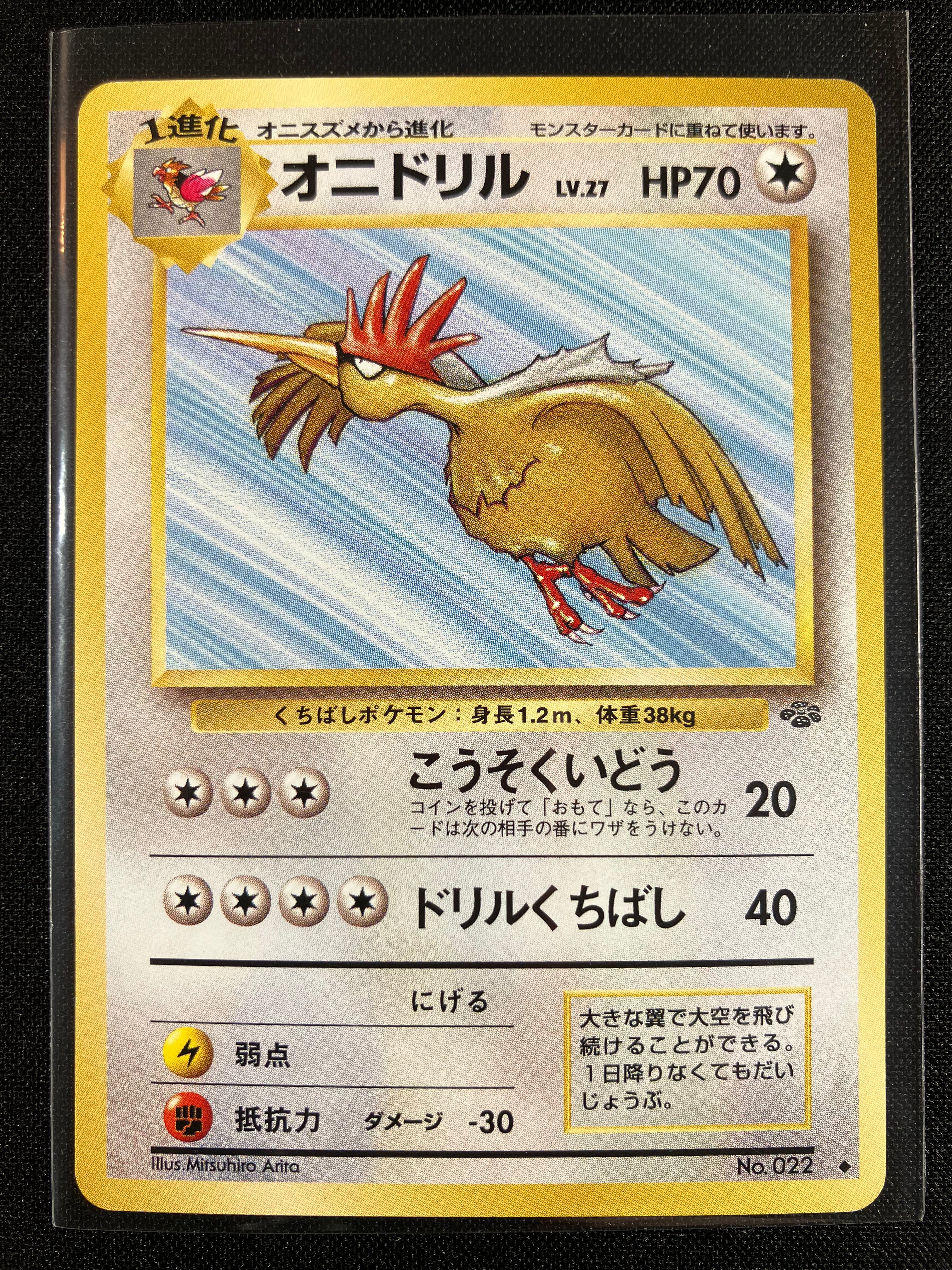 Fearow - Pokémon Jungle