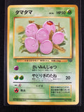 Exeggcute - Pokémon Jungle