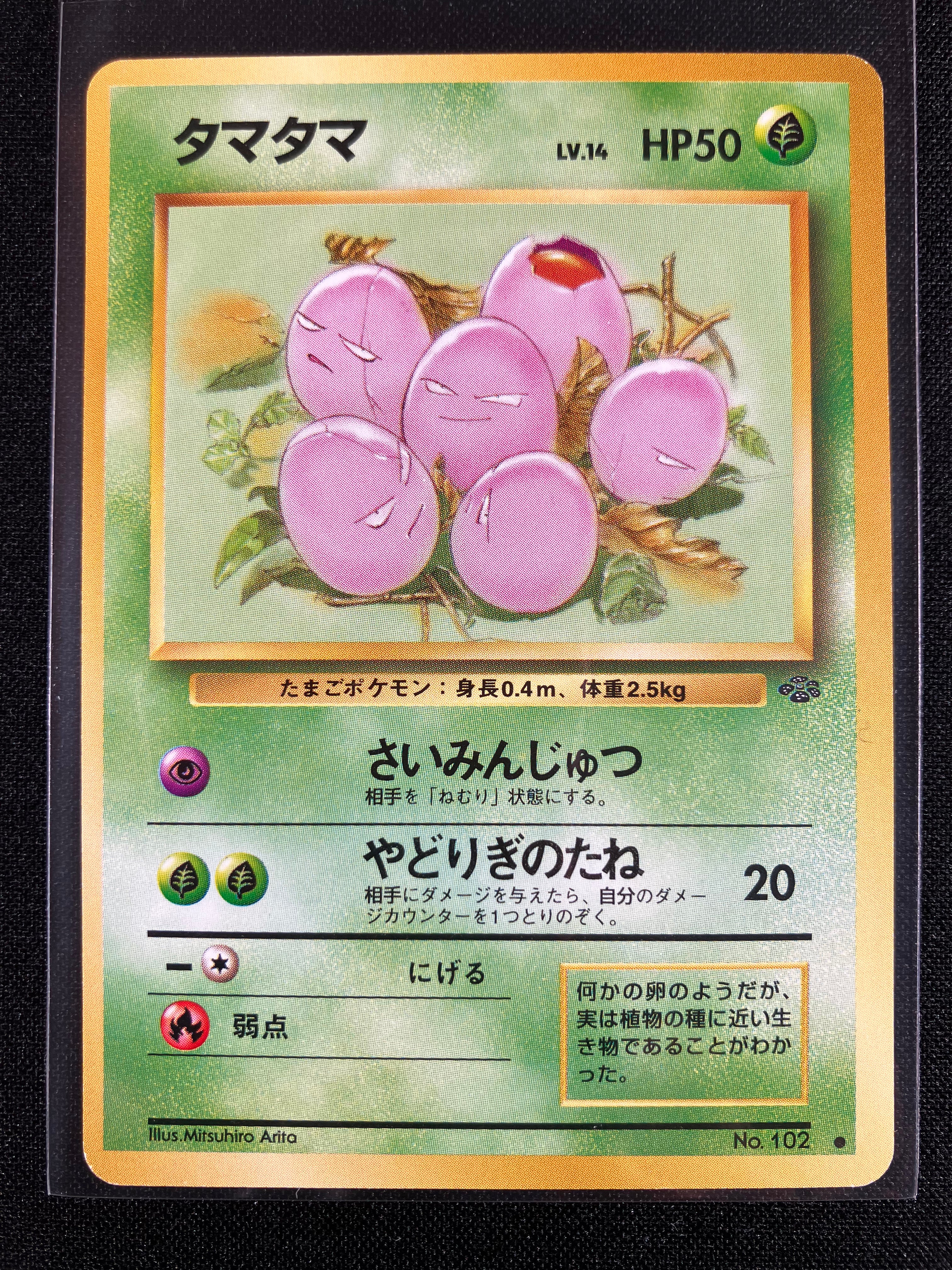 Exeggcute - Pokémon Jungle