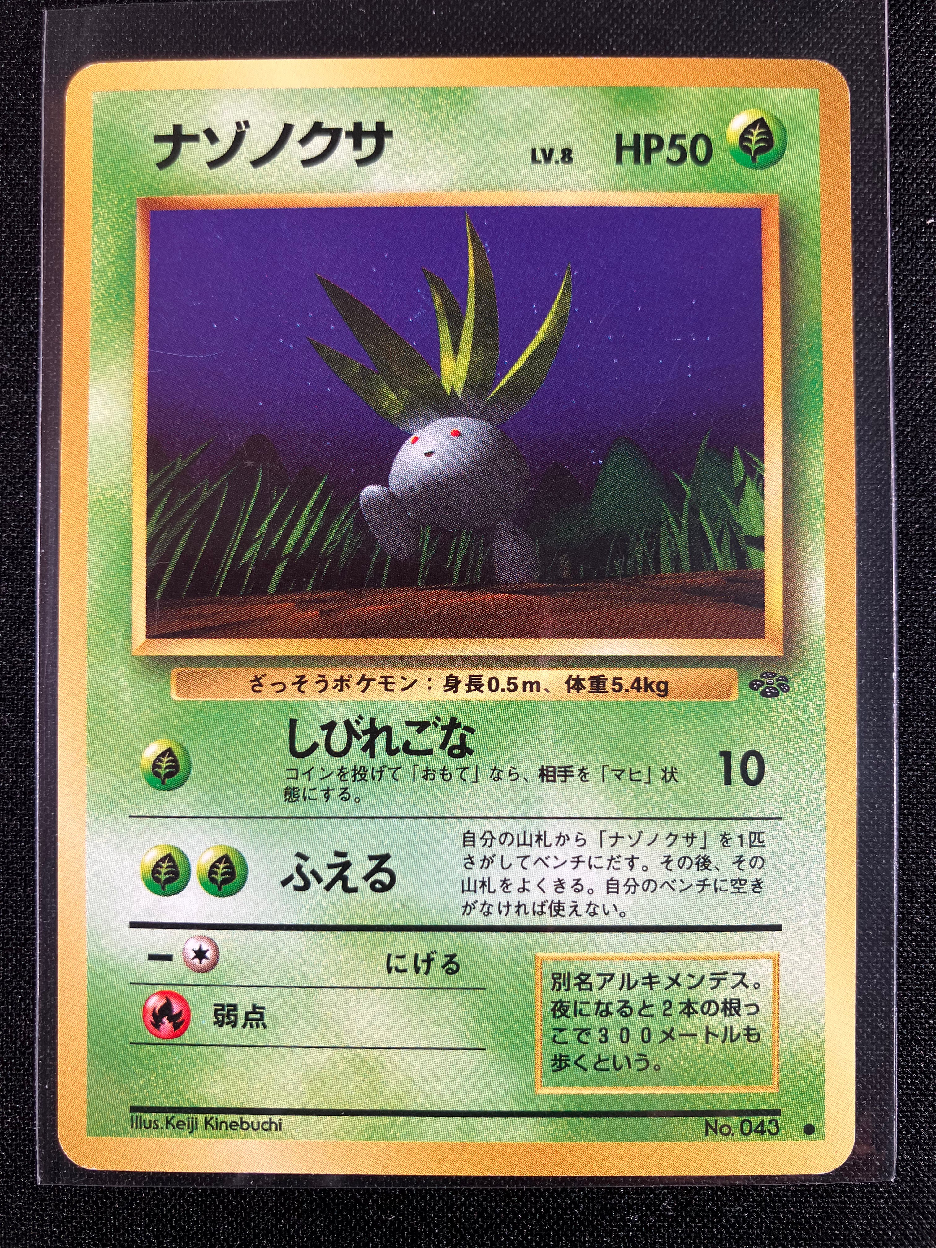 Oddish - Pokémon Jungle