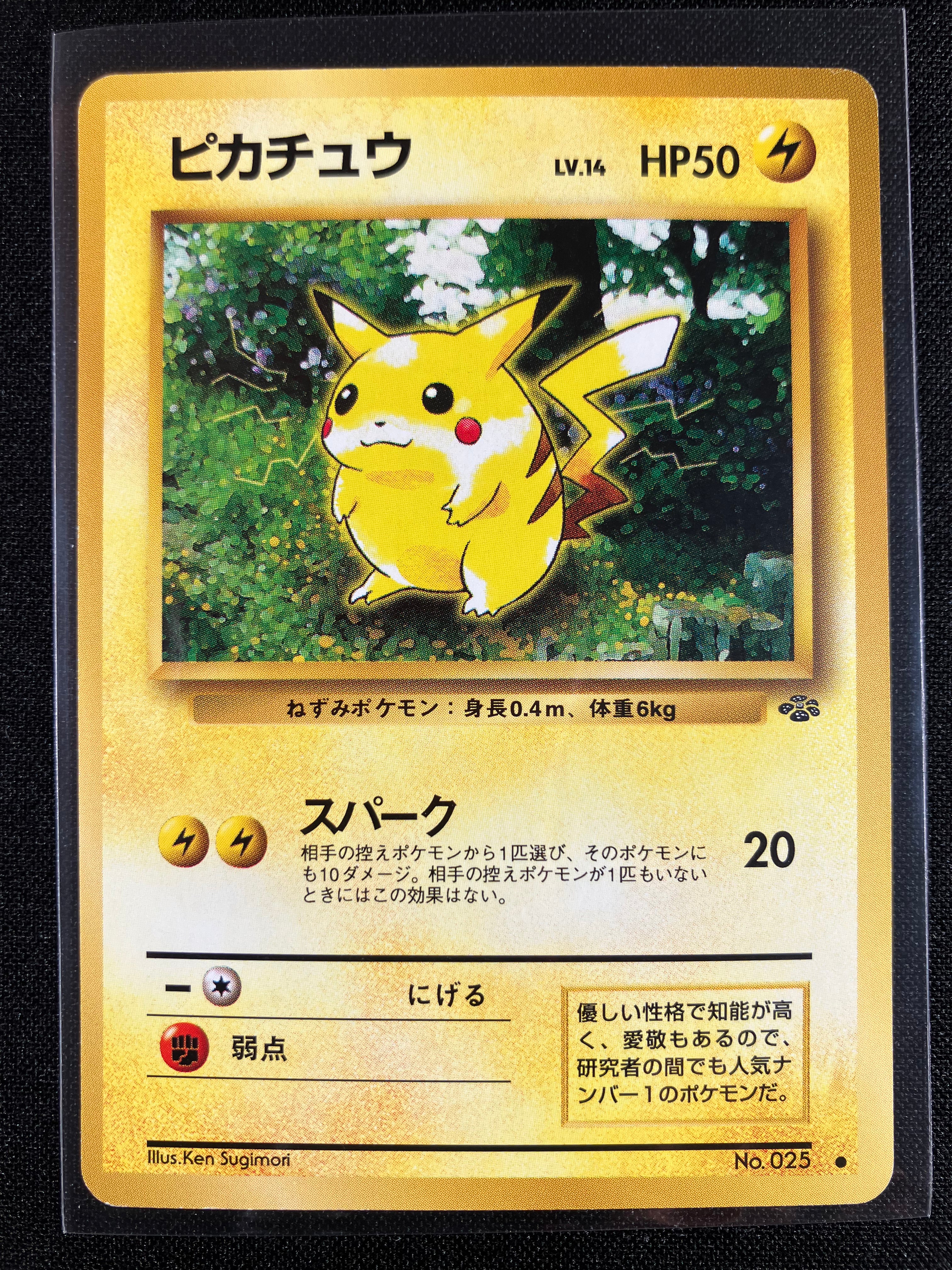 Pikachu - Pokémon Jungle