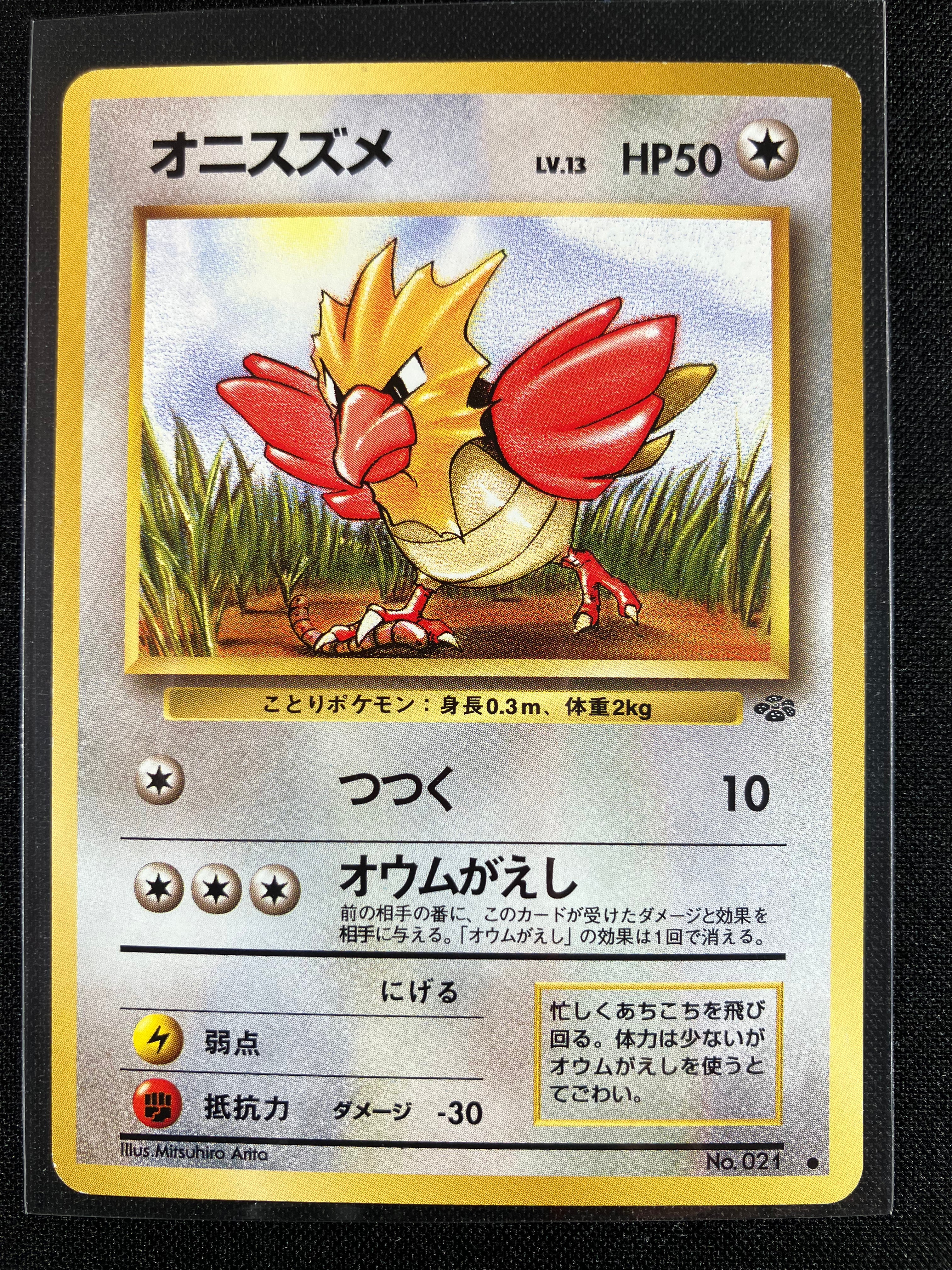 Spearow - Pokémon Jungle