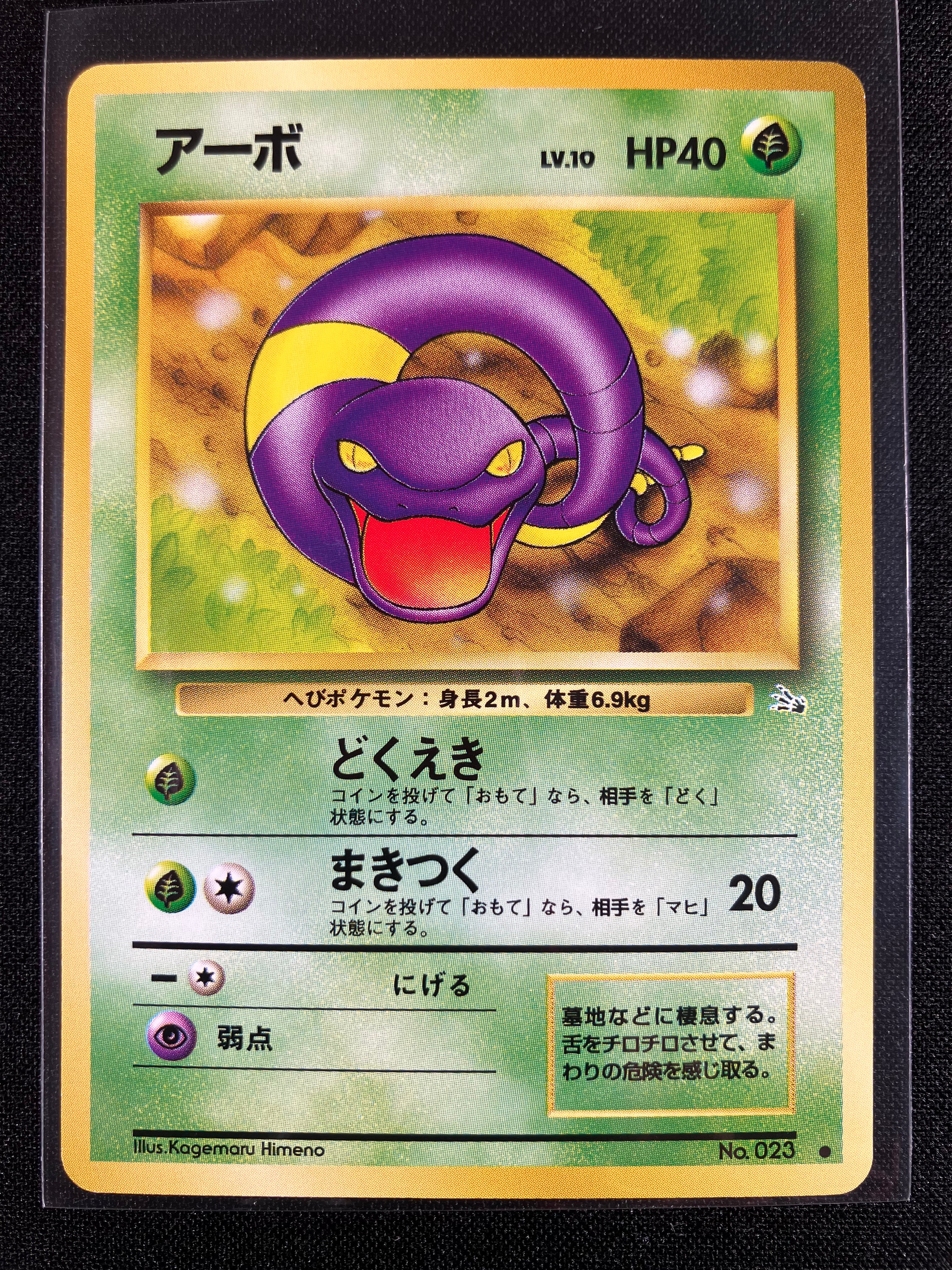 Ekans - Mystery of the Fossils