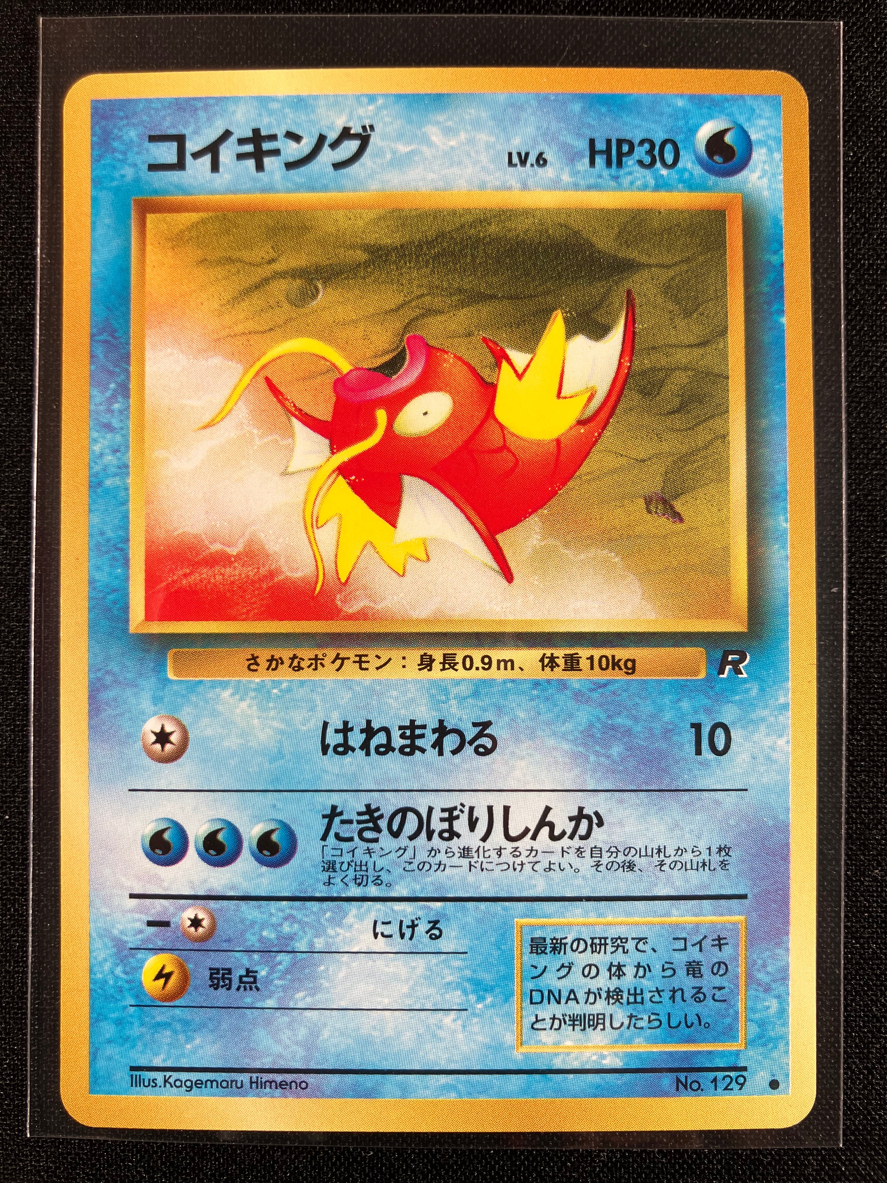 Magikarp - Rocket Gang