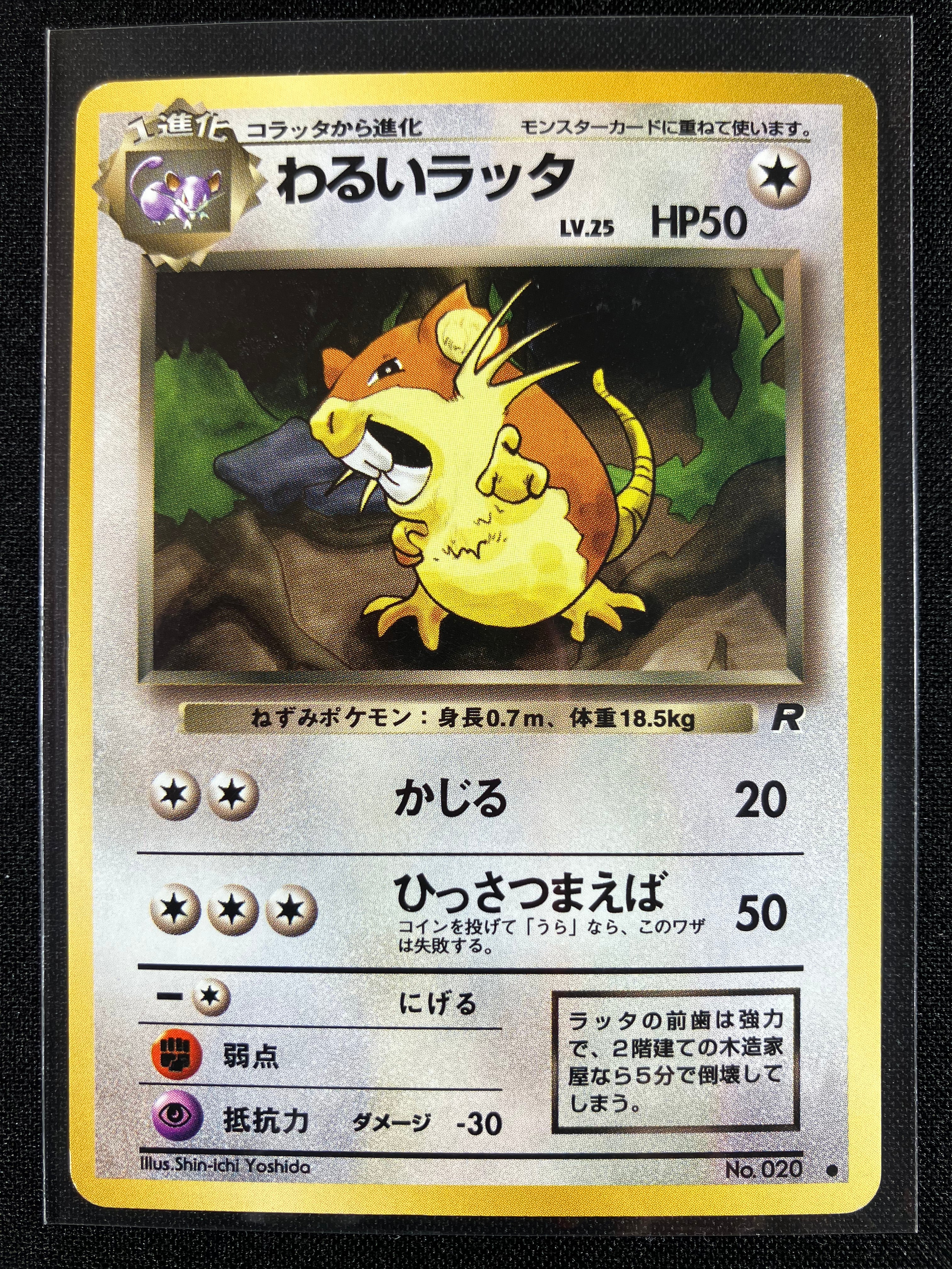 Dark Raticate - Rocket Gang