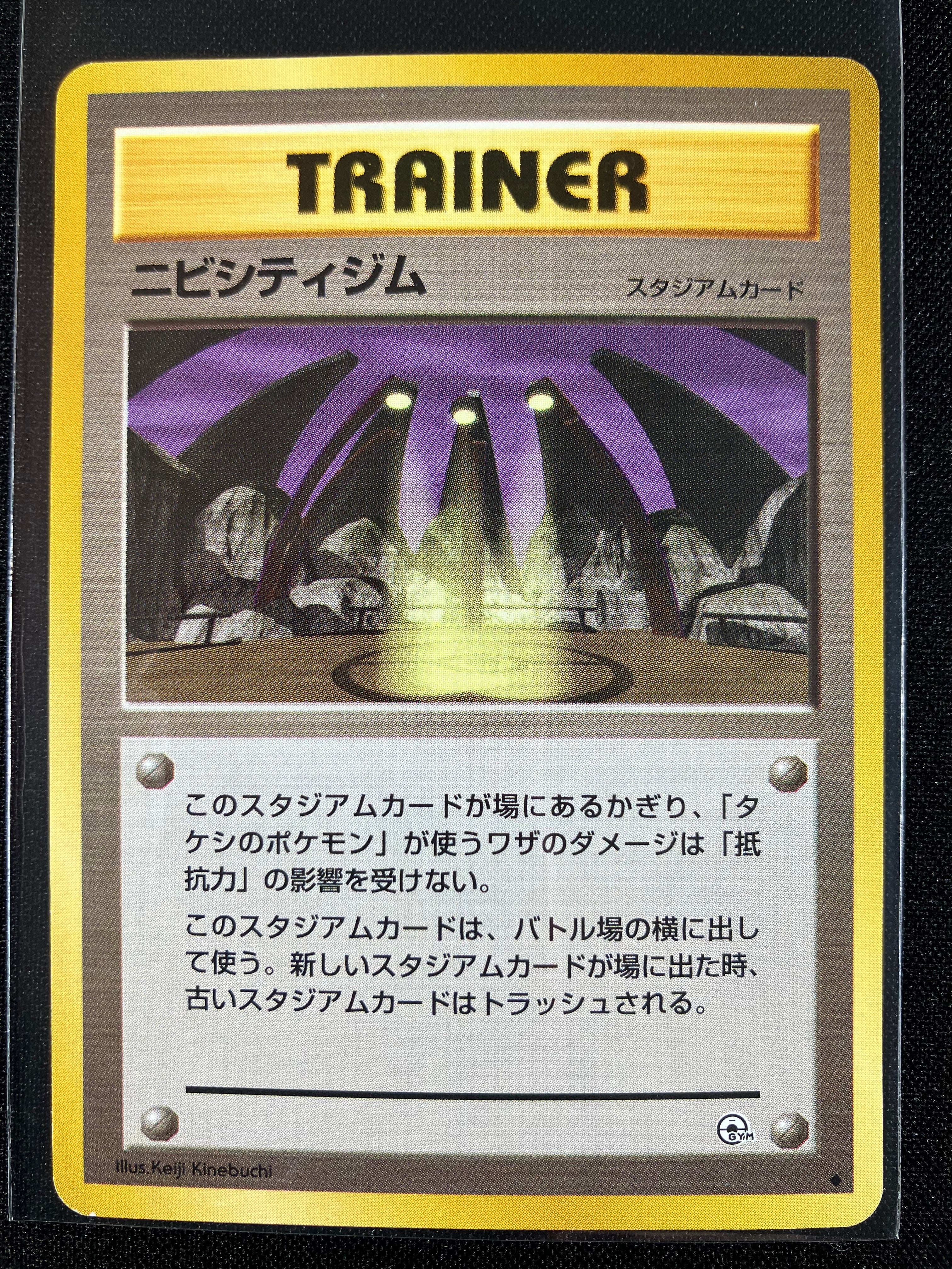 Pewter City Gym - Leaders' Stadium