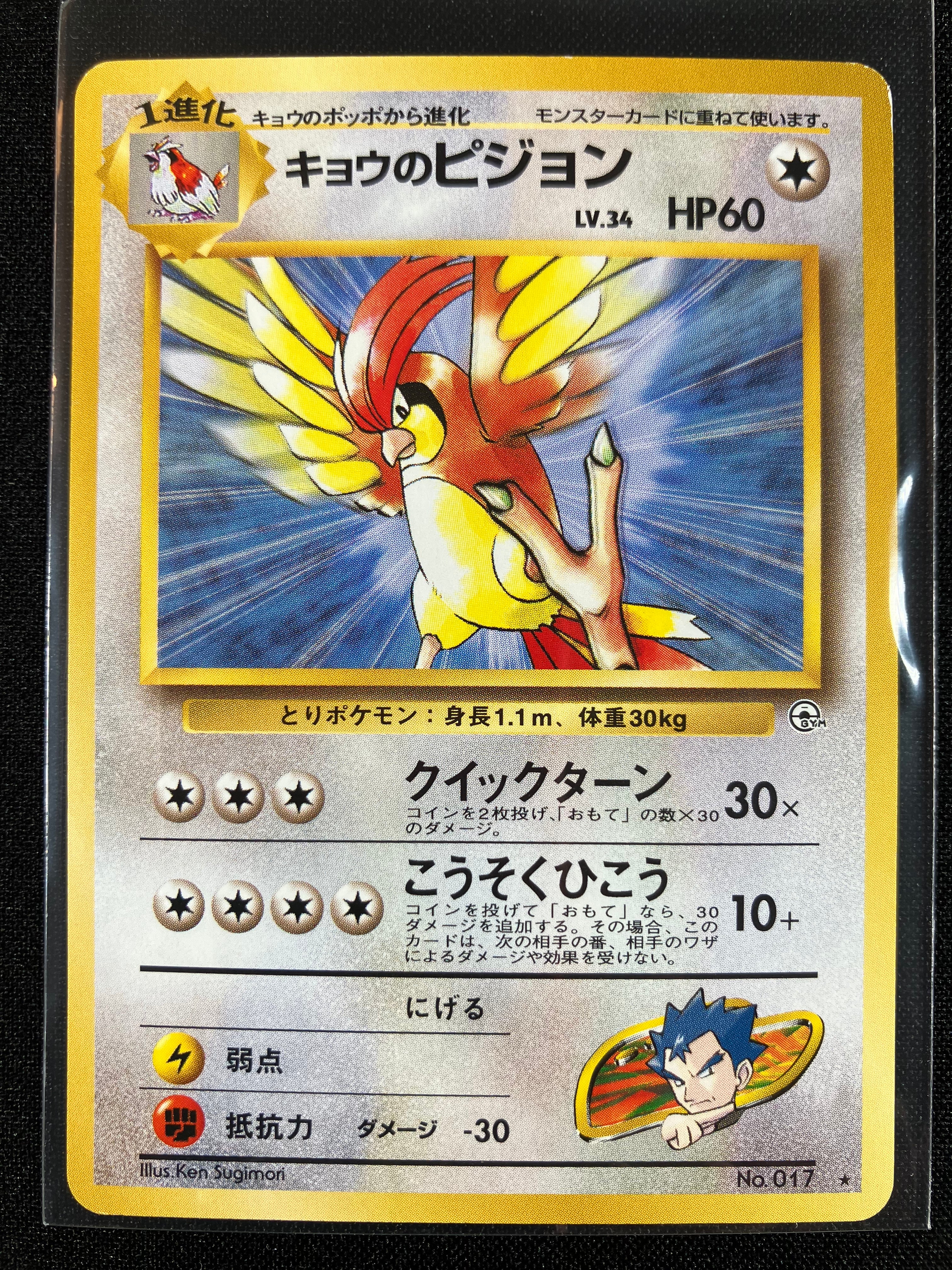 Koga's Pidgeotto - Challenge from the Darkness