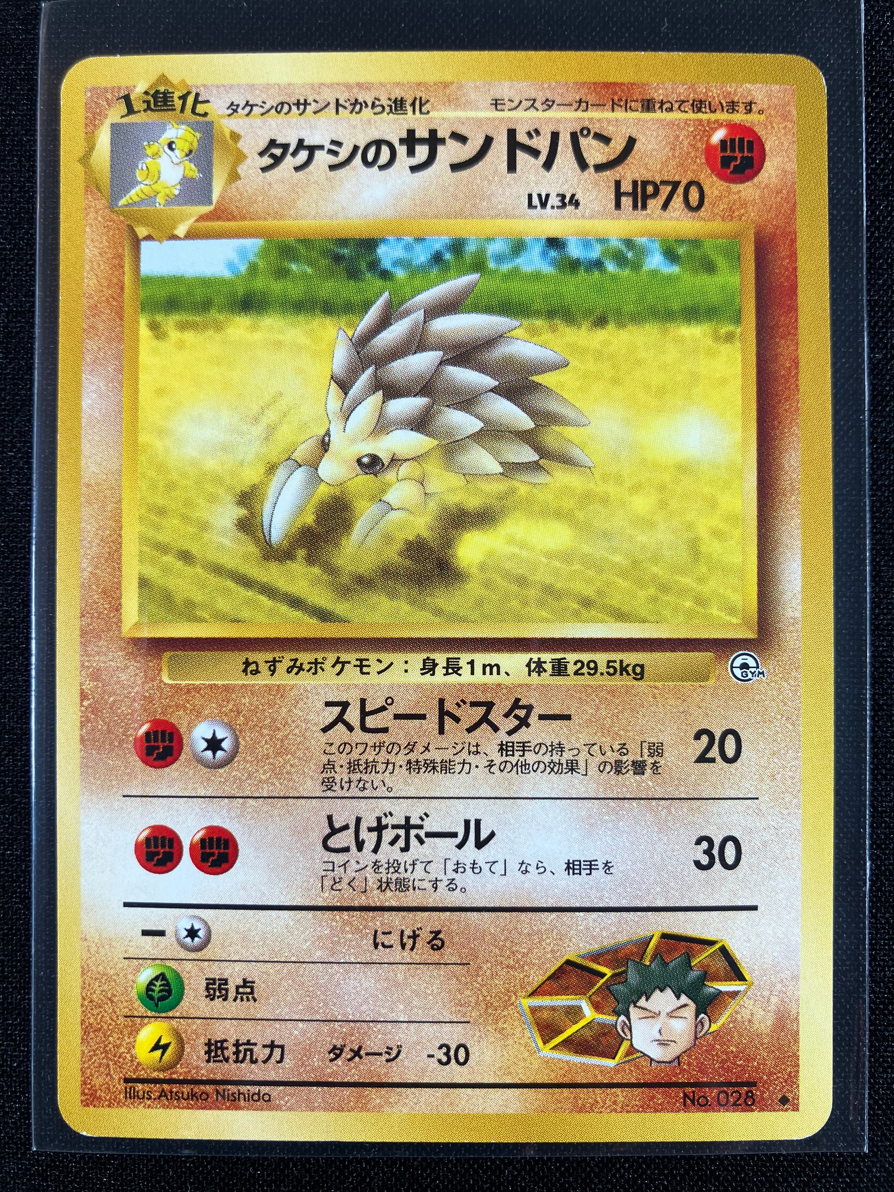 Brock's Sandslash - Leaders' Stadium