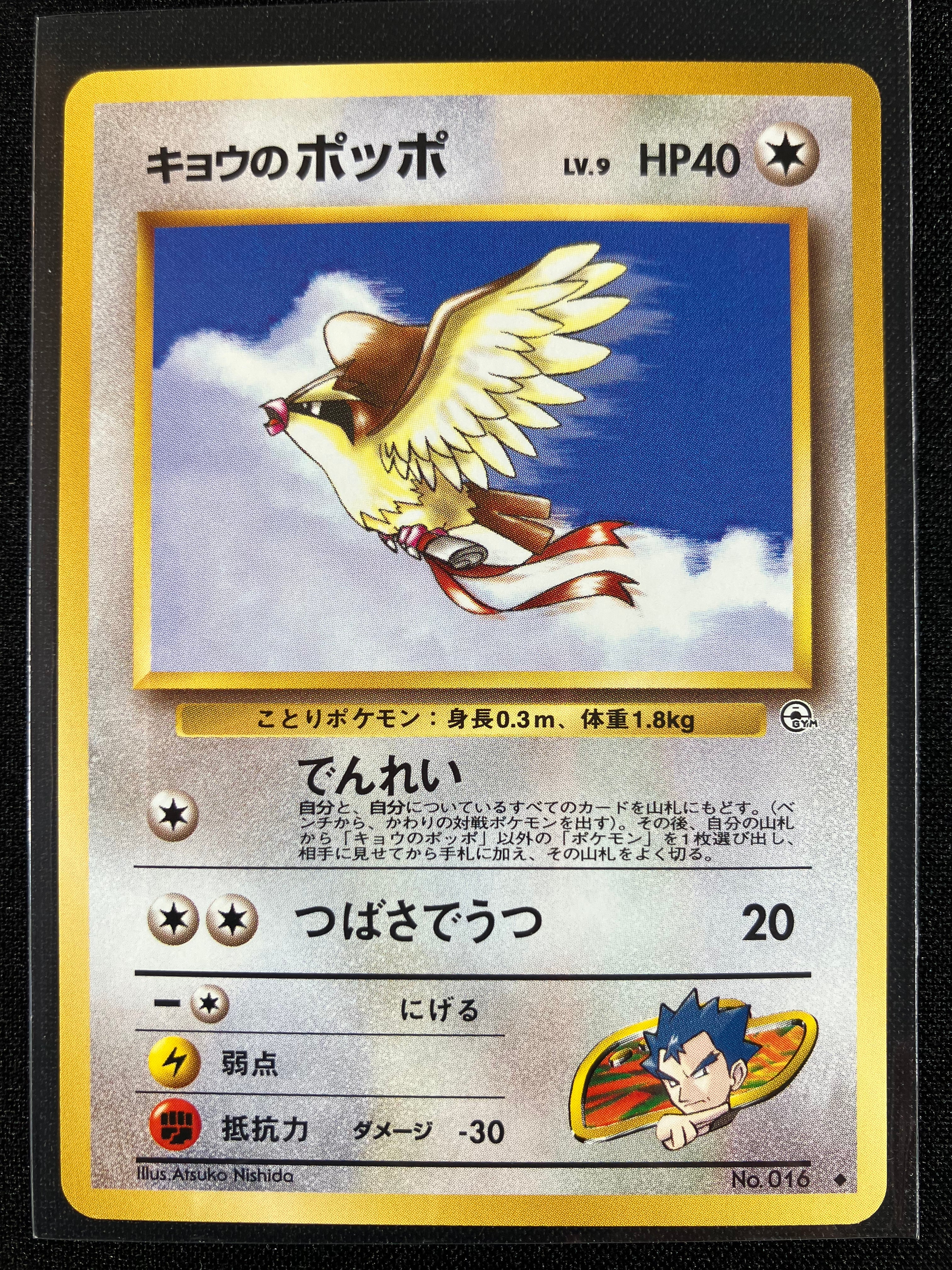 Koga's Pidgey (LV. 9) - Challenge from the Darkness