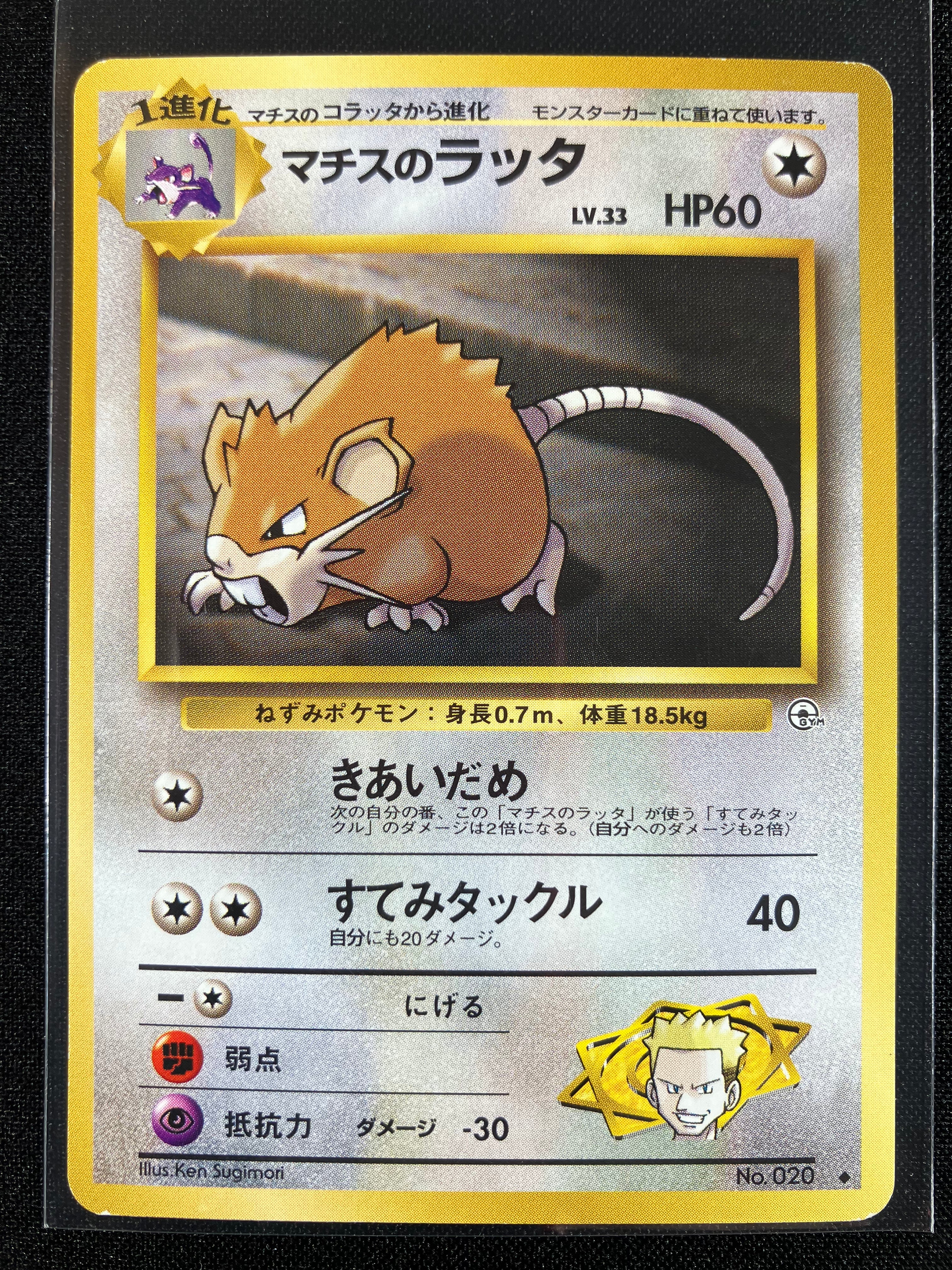 Lt. Surge's Raticate - Leaders' Stadium