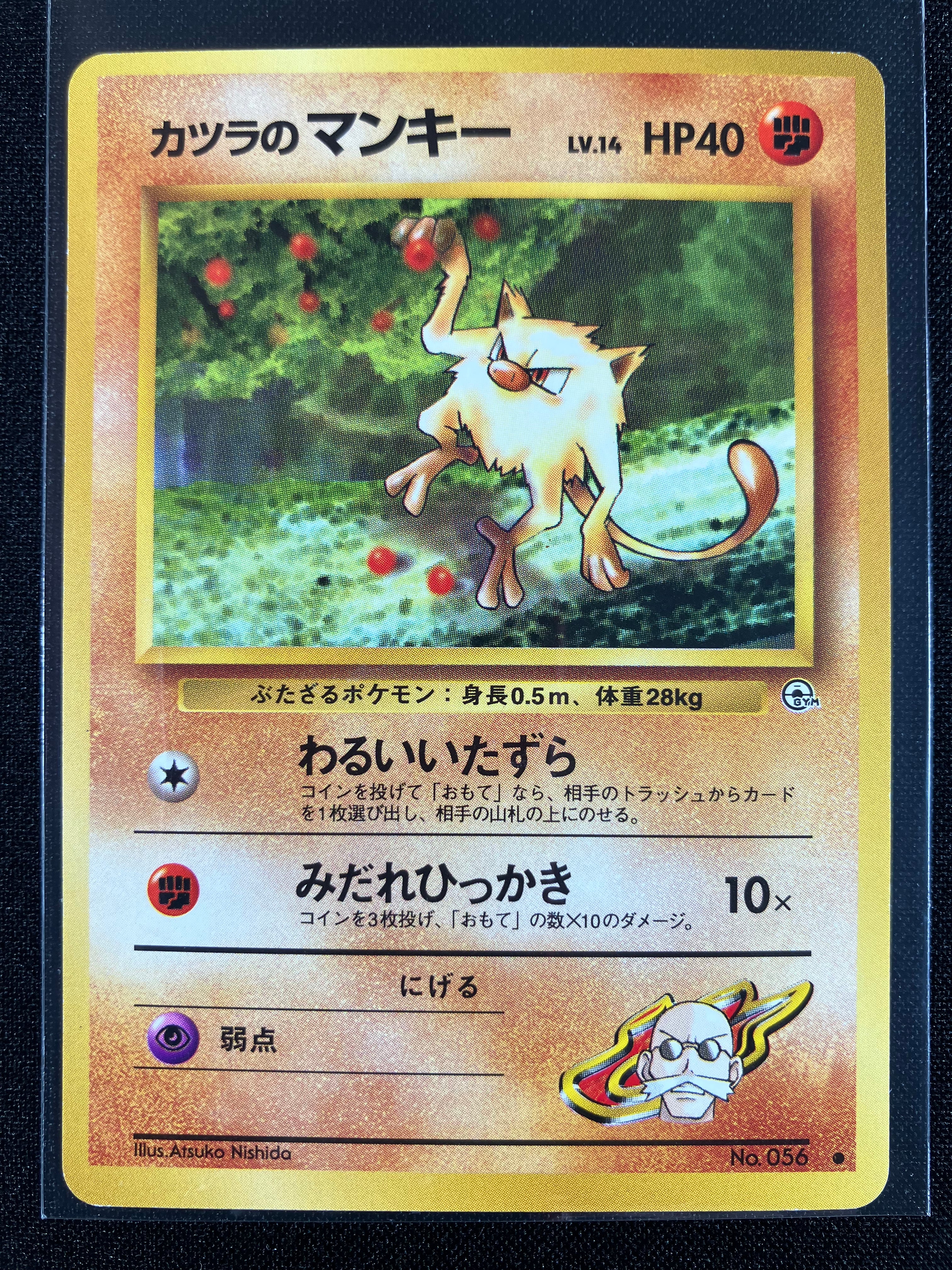 Blaine's Mankey - Challenge from the Darkness