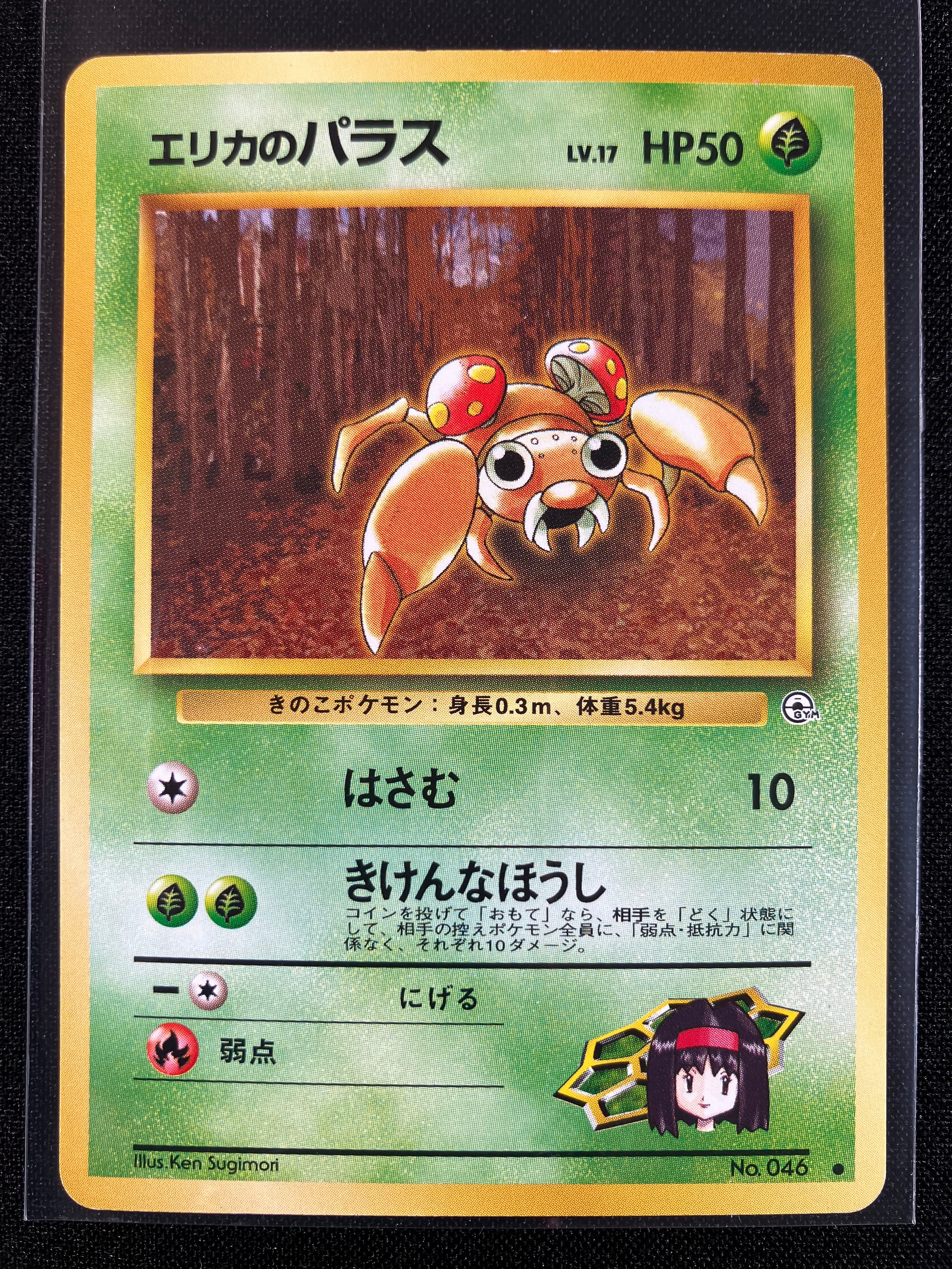 Erika's Paras - Leaders' Stadium