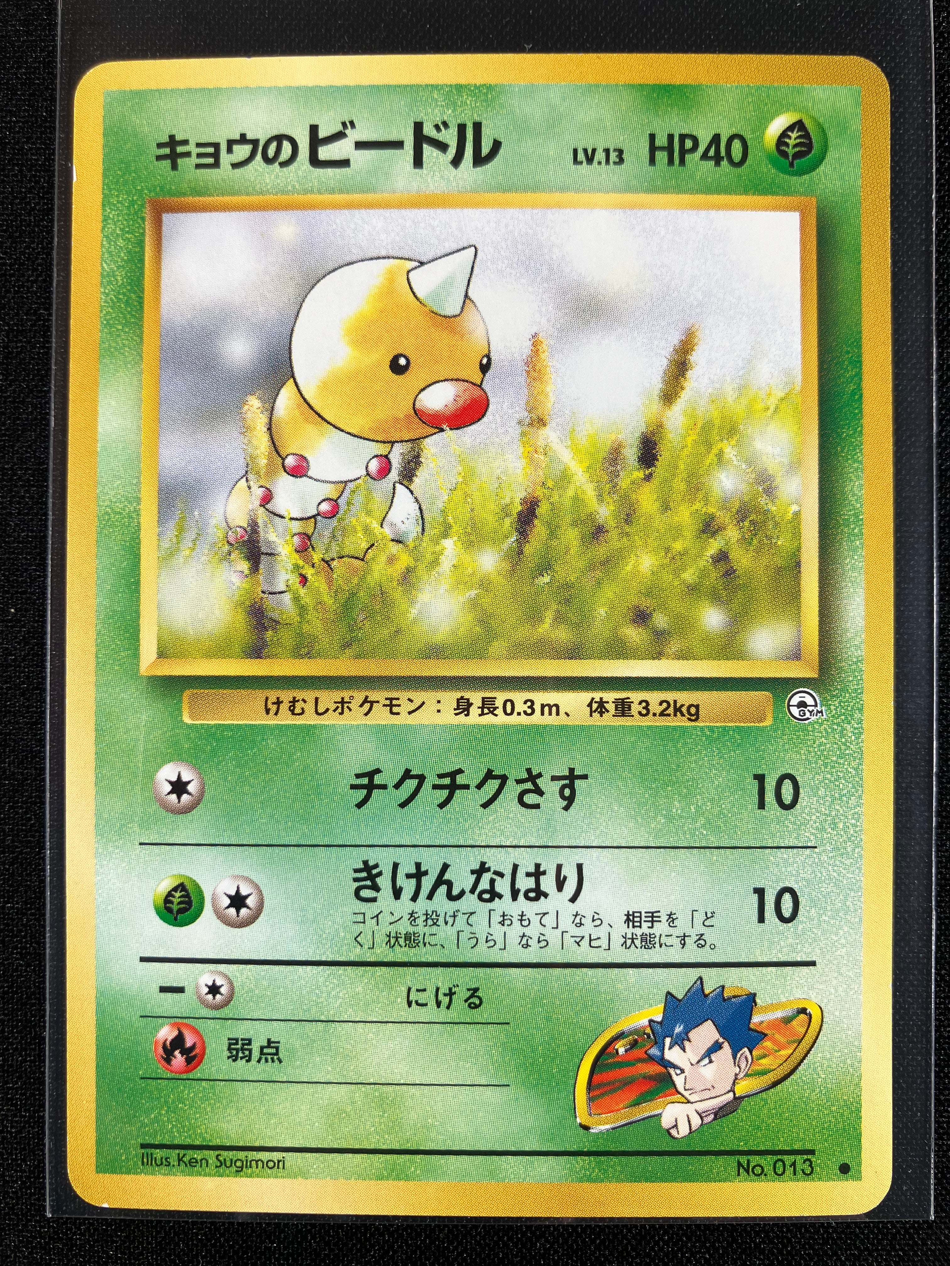 Koga's Weedle - Challenge from the Darkness