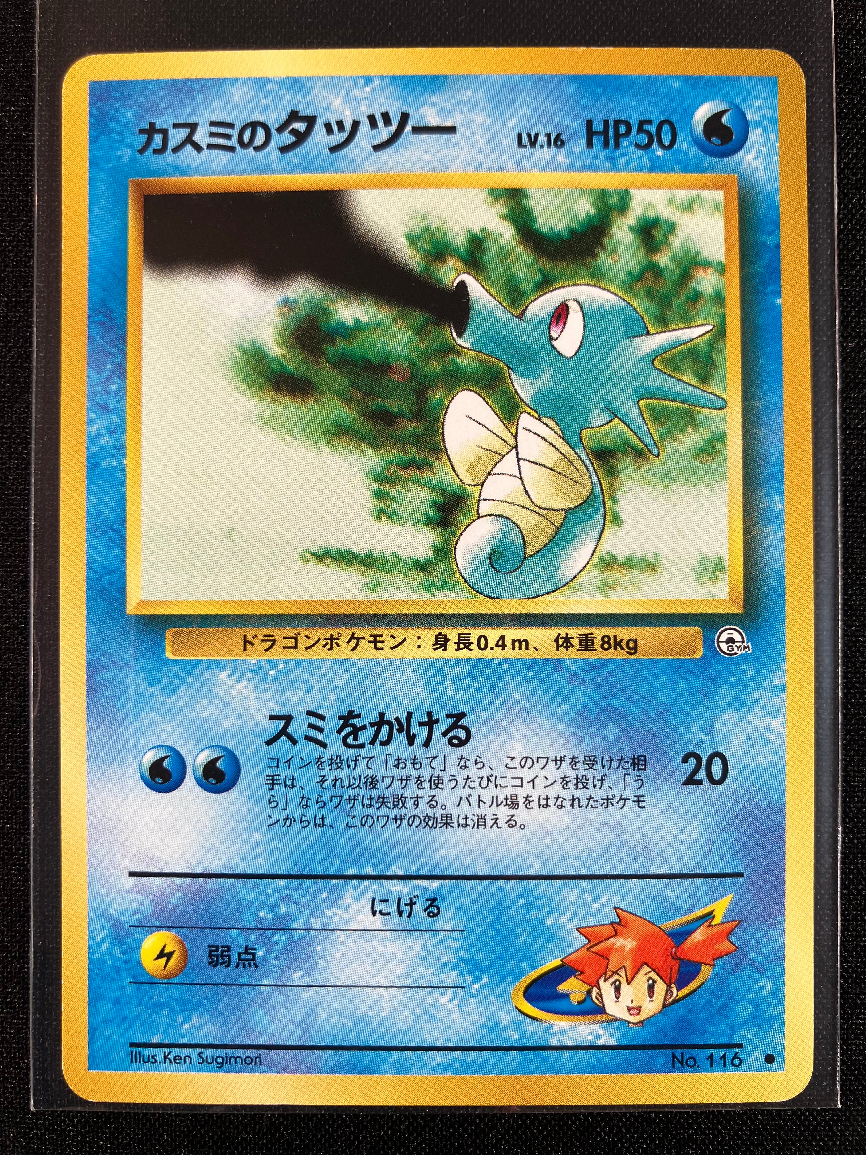 Misty's Horsea (LV. 16) - Leaders' Stadium